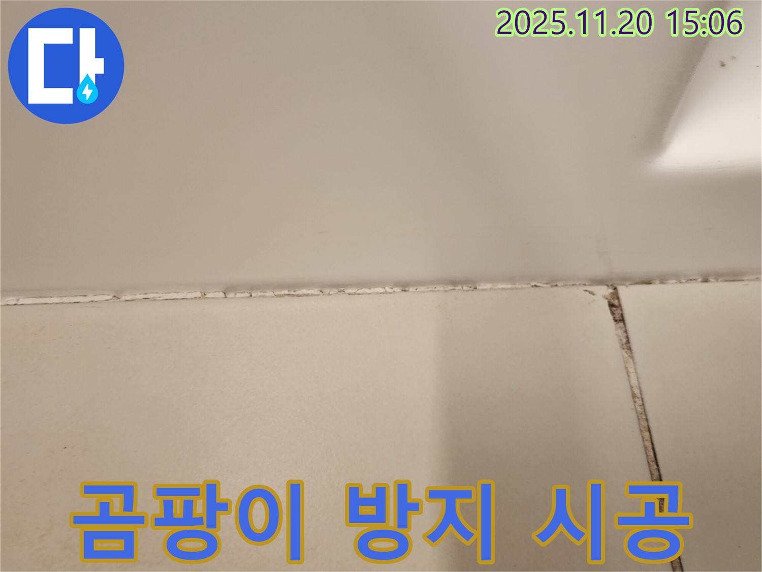 욕실 타일 틈새 곰팡이 제거 후 곰팡이 방지 실리콘 시공
