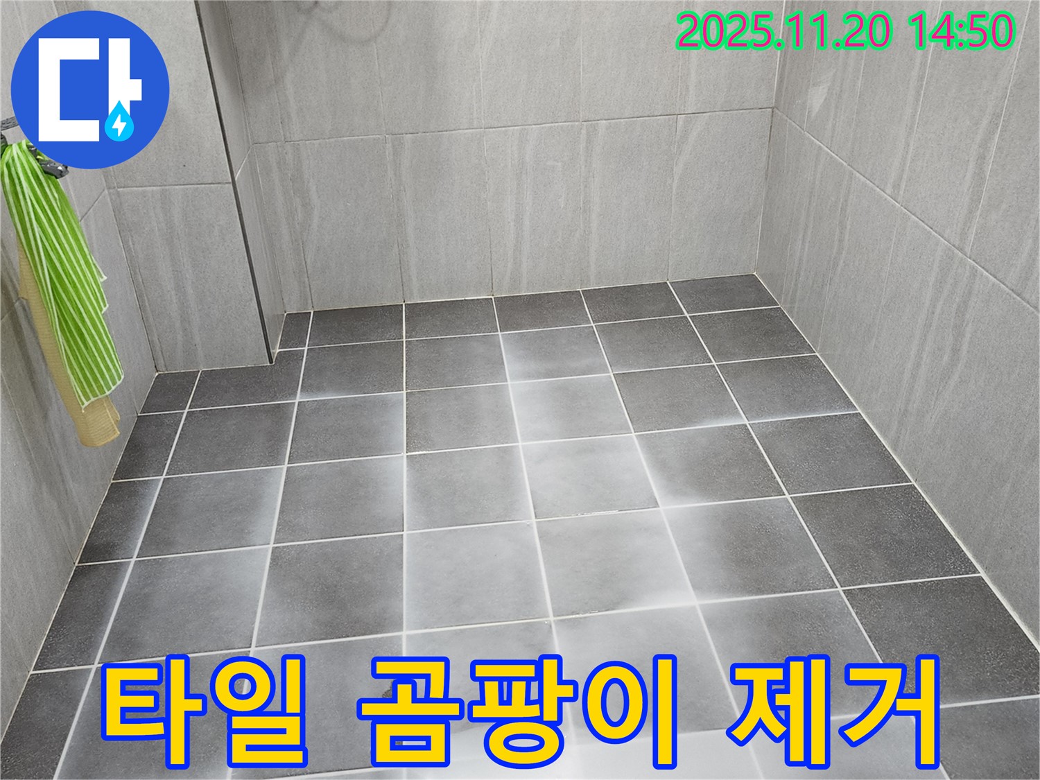욕실 타일 틈새에 곰팡이가 심하게 핀 모습 - 곰팡이 제거가 시급합니다.