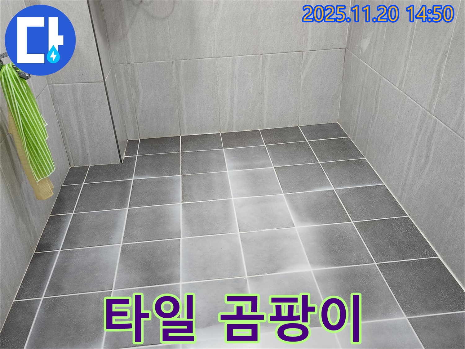 욕실 타일 틈새에 곰팡이가 심하게 핀 모습 - 습한 환경과 누수 문제를 보여줍니다.