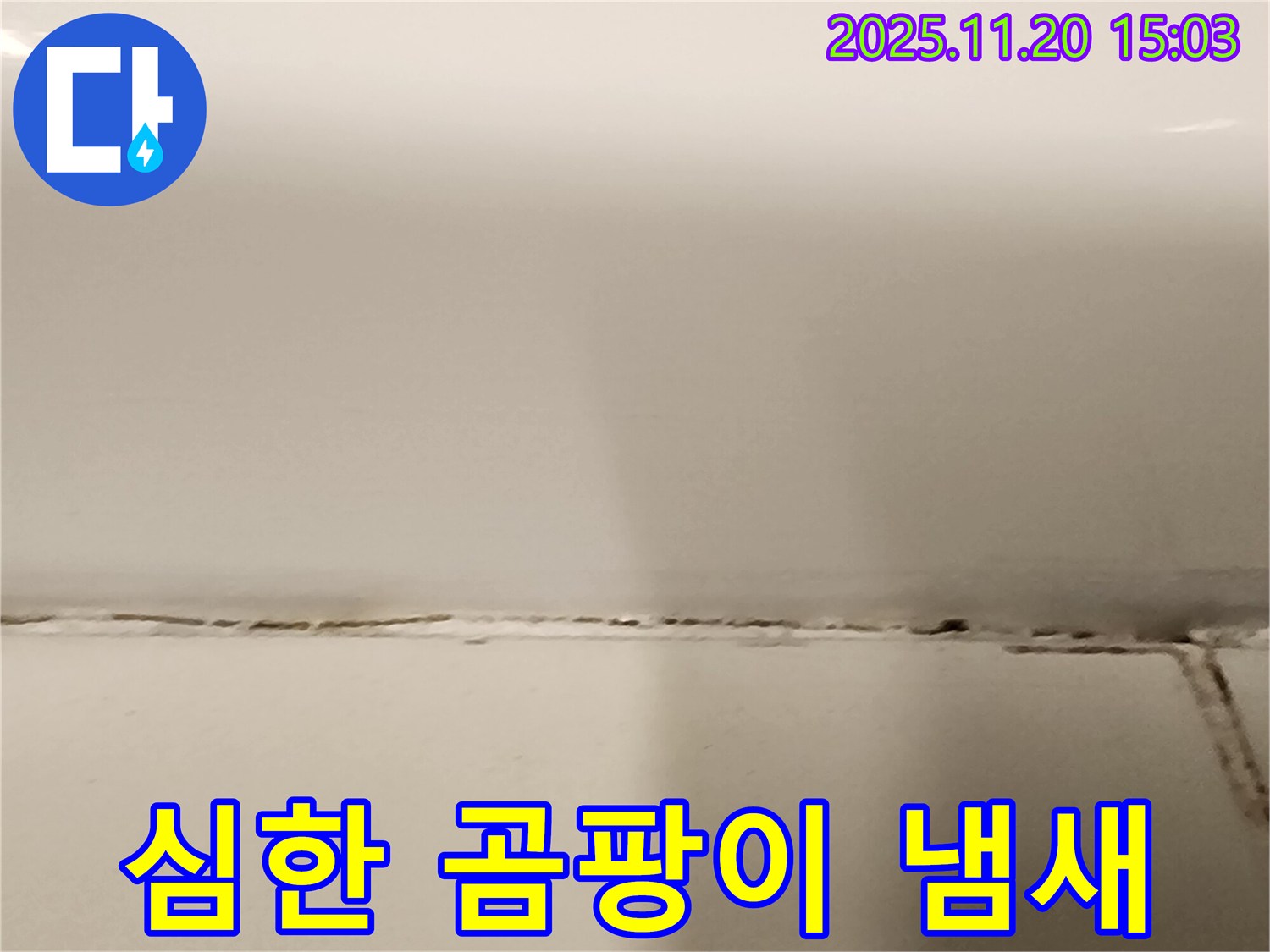 욕조 실리콘 곰팡이 - 냄새가 너무 심해요! - 곰팡이가 심각한 상태입니다.