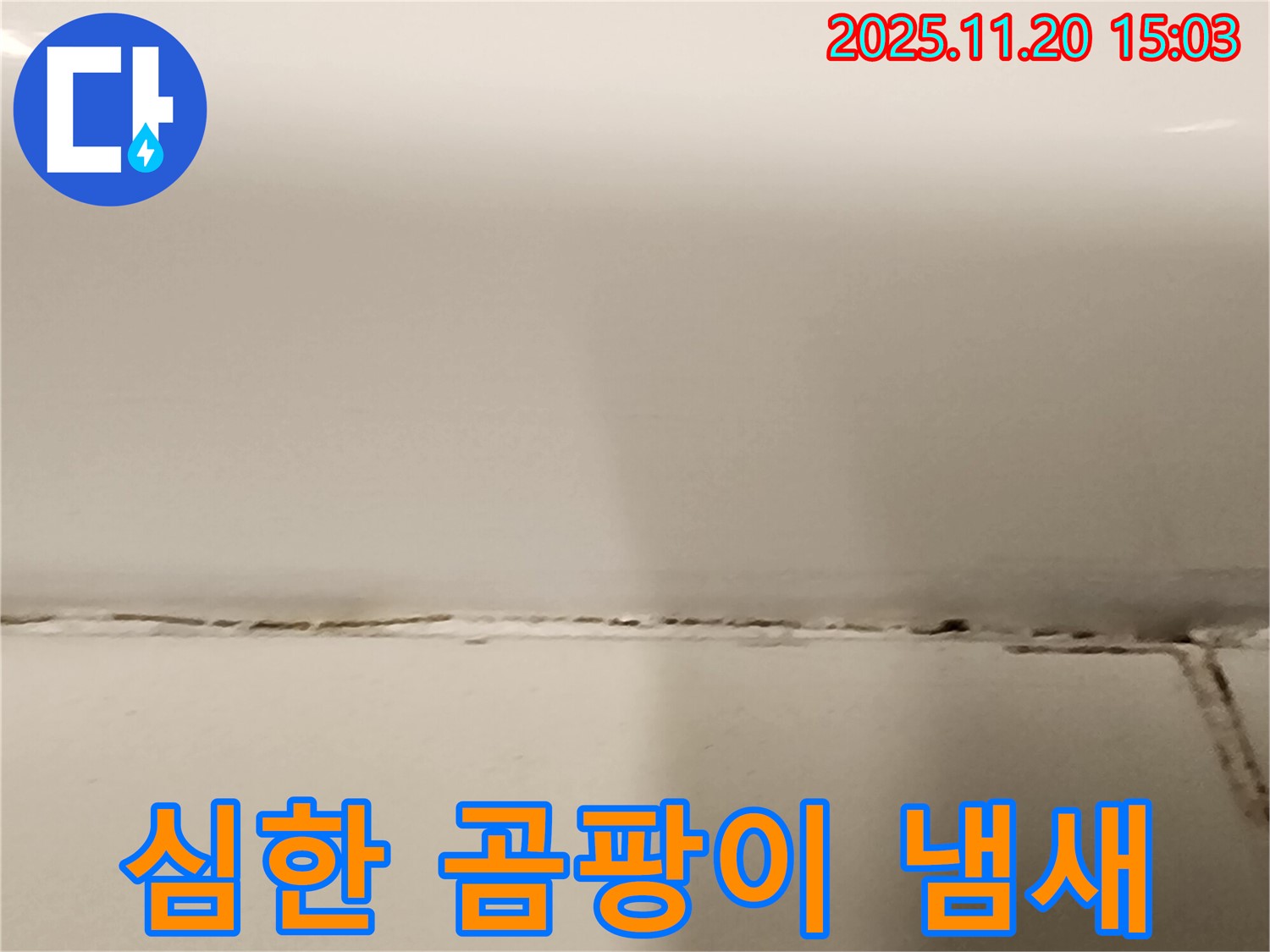 욕조 실리콘 곰팡이 - 냄새가 너무 심해요! - 곰팡이가 심각한 상태입니다.