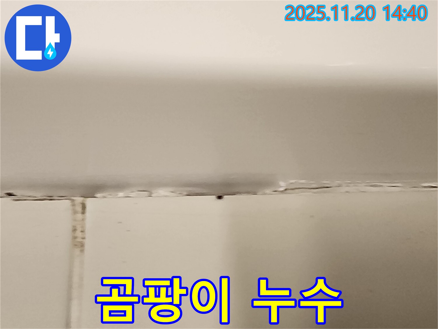 욕조 실리콘 곰팡이 - 누수 발생