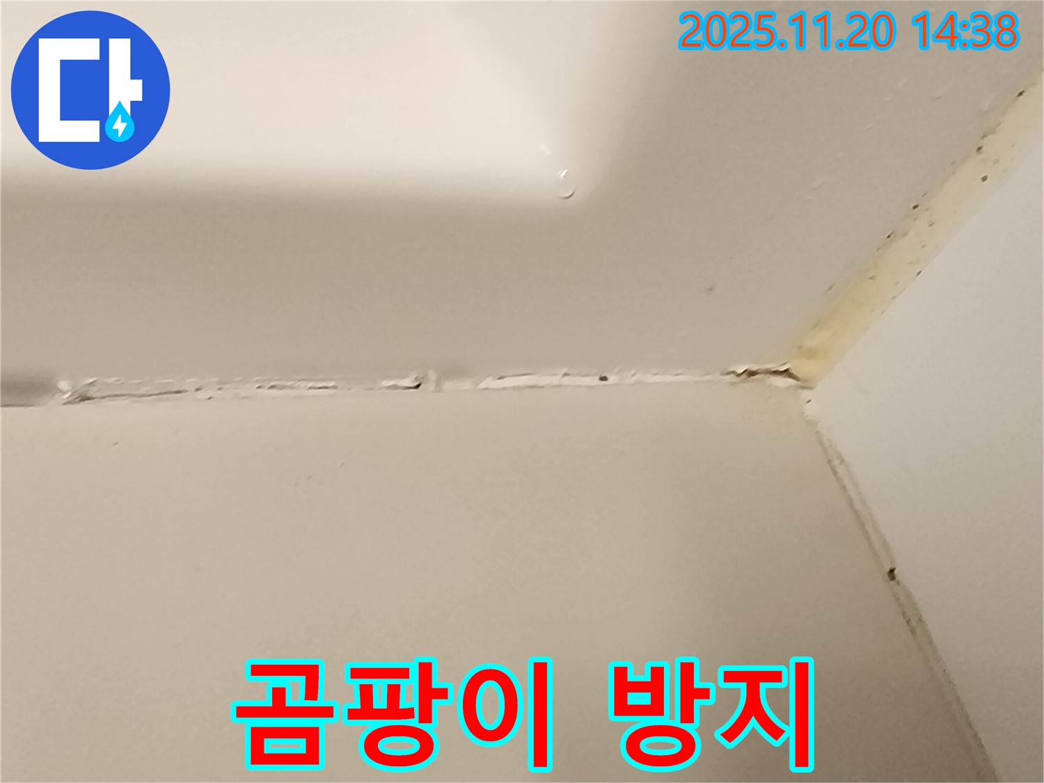 욕조 실리콘 - 곰팡이 방지 실리콘