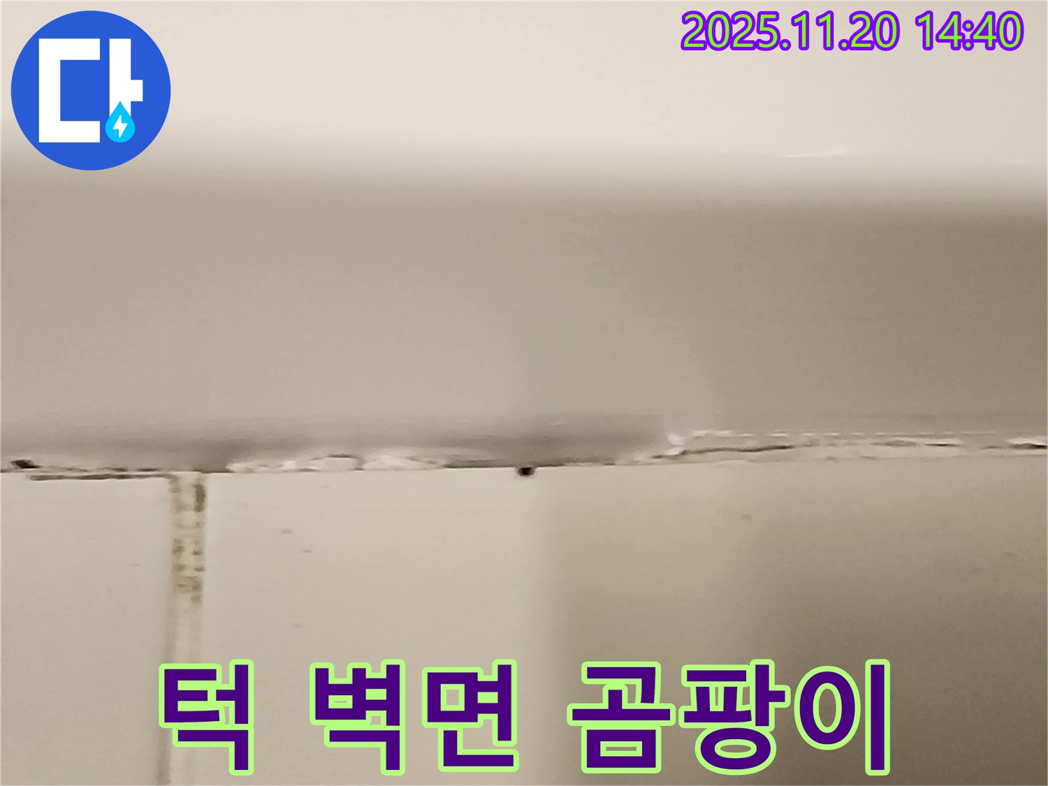 욕조 턱과 벽면 곰팡이 - 누수 발생