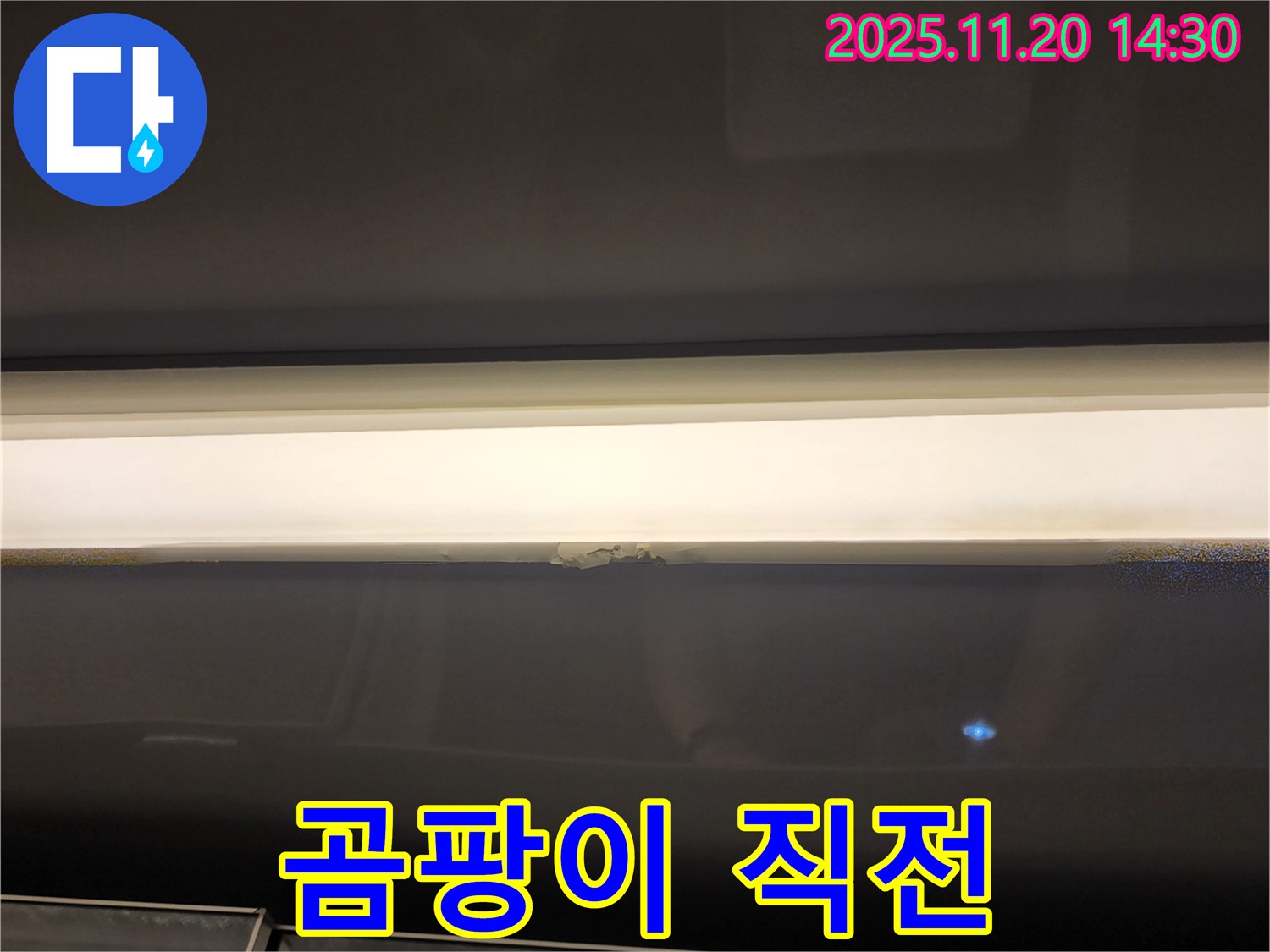 창문 상단 누수 - 곰팡이 발생 직전, 긴급 점검