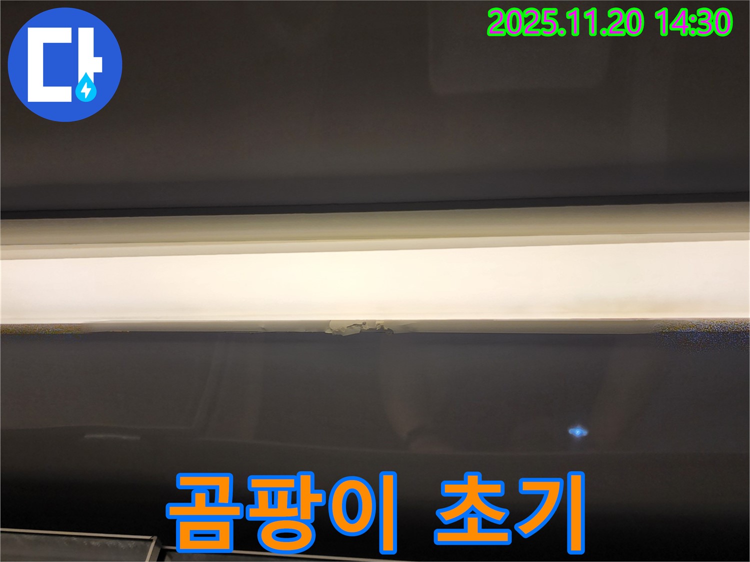 창문 윗부분 누수 - 곰팡이 초기 발견, 누수 의심