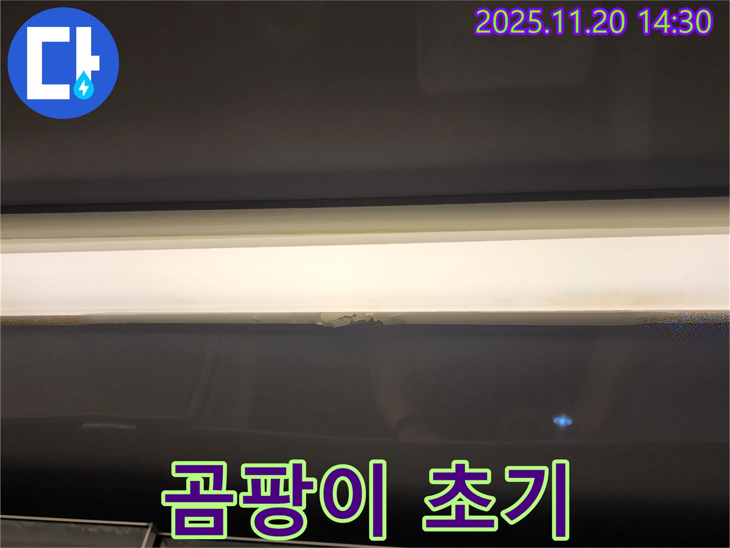 창문 윗부분 누수 - 곰팡이 초기 발견, 빠른 조치