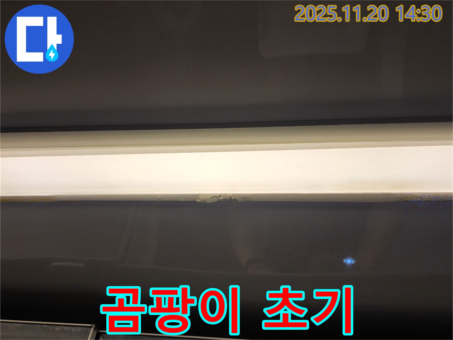 창문 하단 누수 - 곰팡이 초기 발견, 완벽 해결