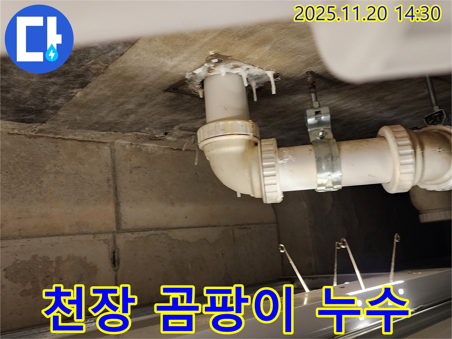 천장 곰팡이 누수 - 포천 가산면 누수, 천장 누수와 곰팡이 문제를 동시에 해결합니다.