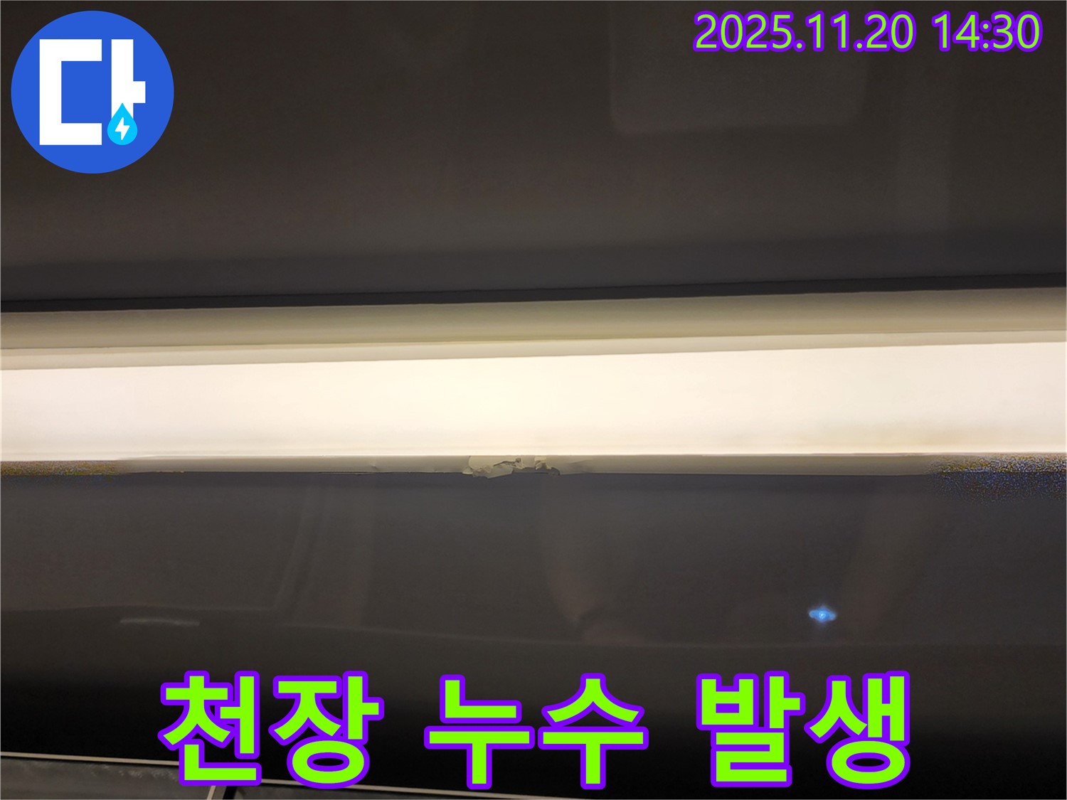 천장 누수 발생 - 신속한 누수 탐지와 정확한 진단