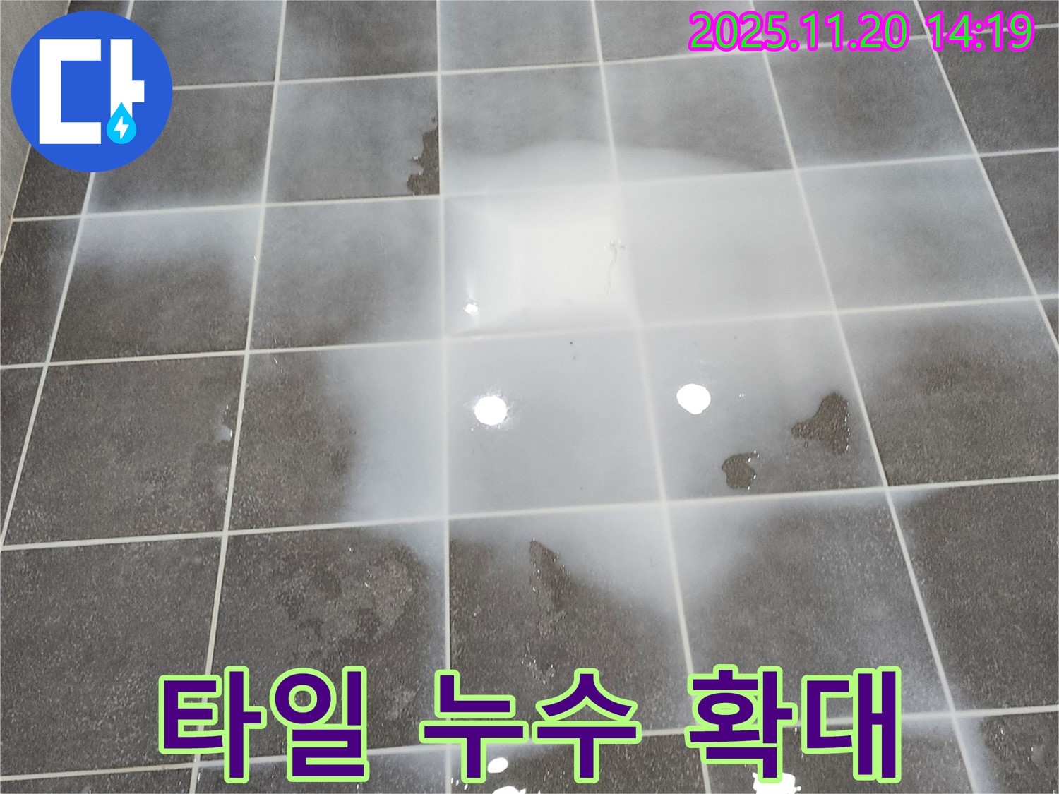 타일 누수 부위를 확대한 사진 - 문제의 심각성을 보여줍니다.