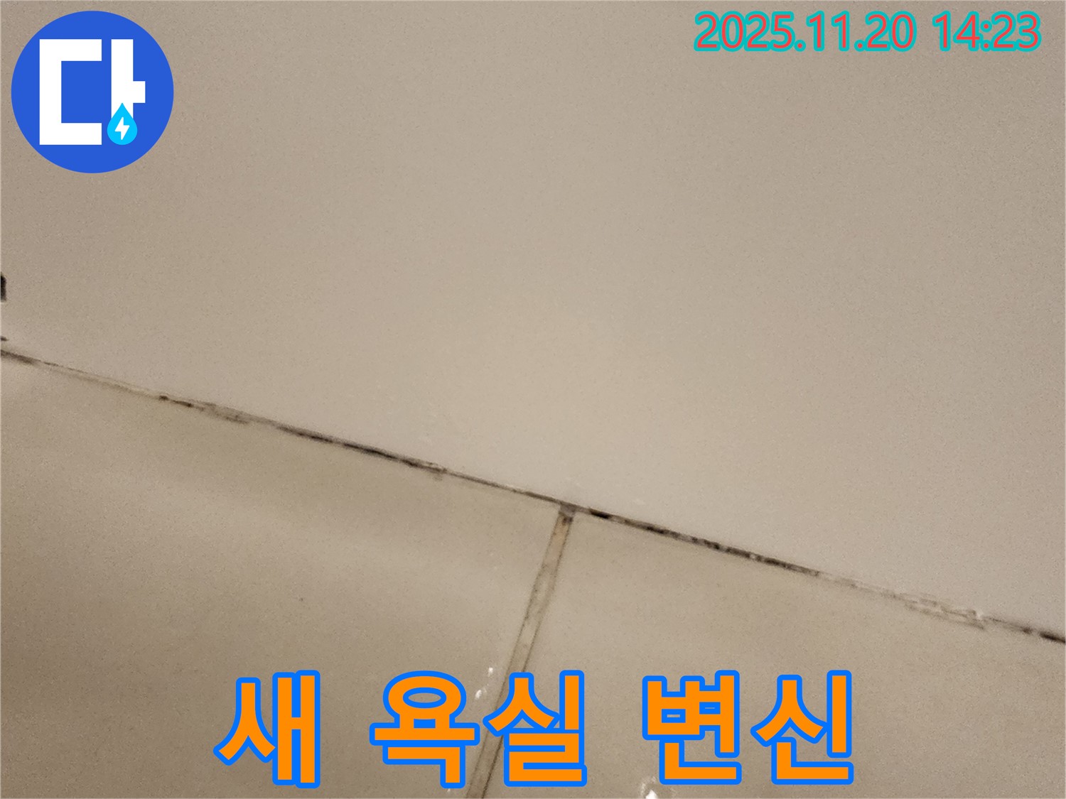 포천 가산 곰팡이 욕실 - 새 욕실처럼 변신!