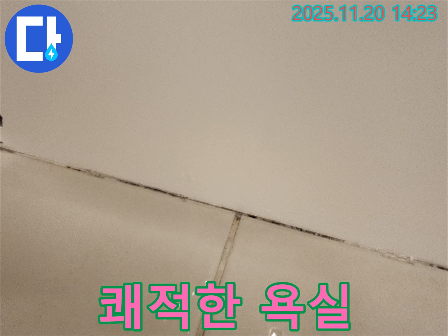 포천 가산 곰팡이 타일 - 쾌적한 욕실 되찾기!