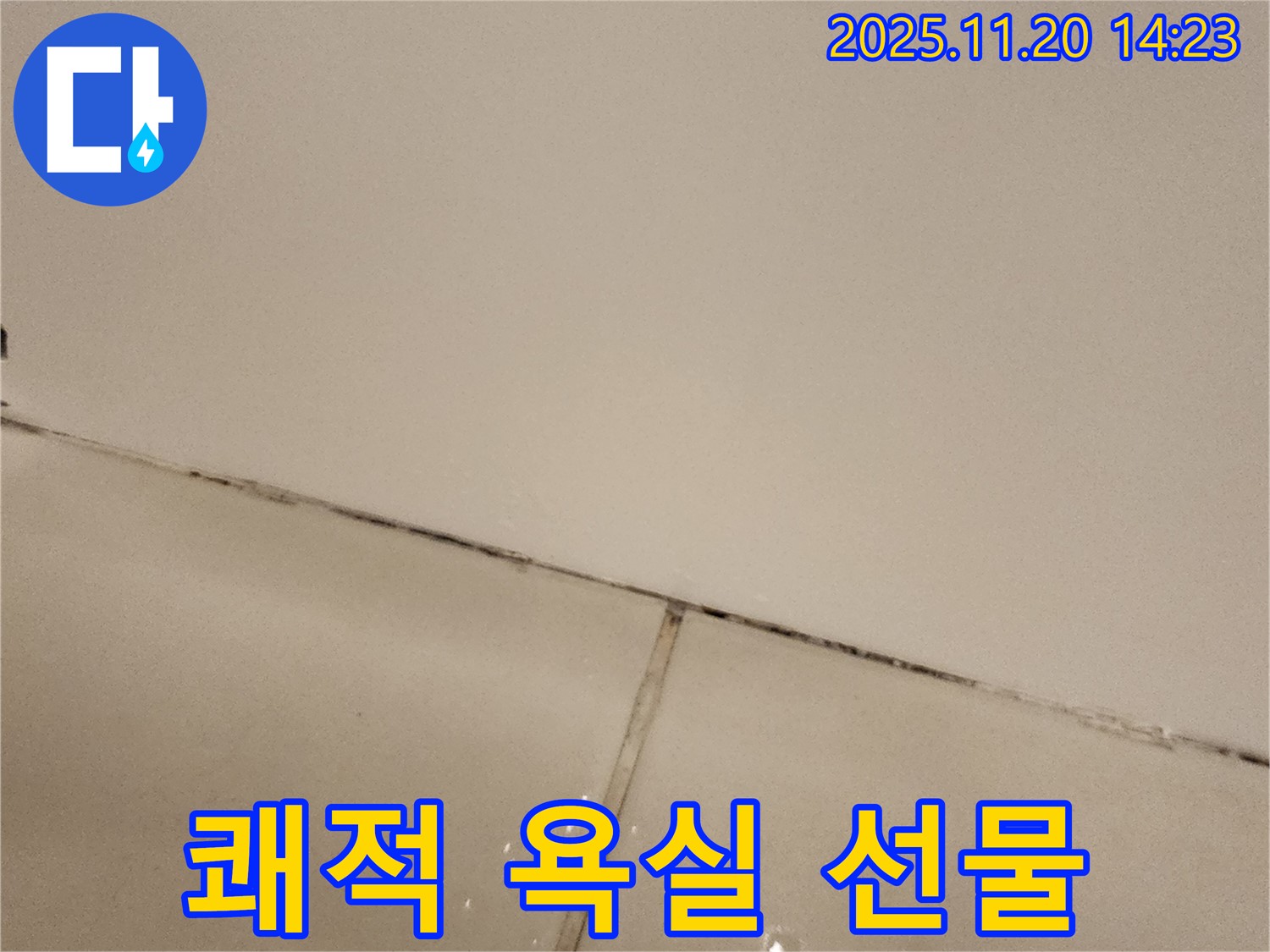 포천 가산 곰팡이 타일 - 쾌적한 욕실 선물!