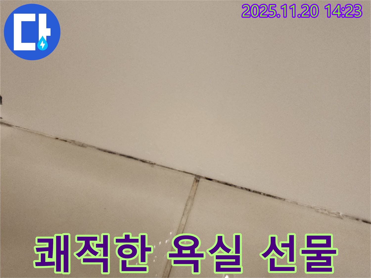 포천 가산 곰팡이 타일 - 쾌적한 욕실을 선물하세요!