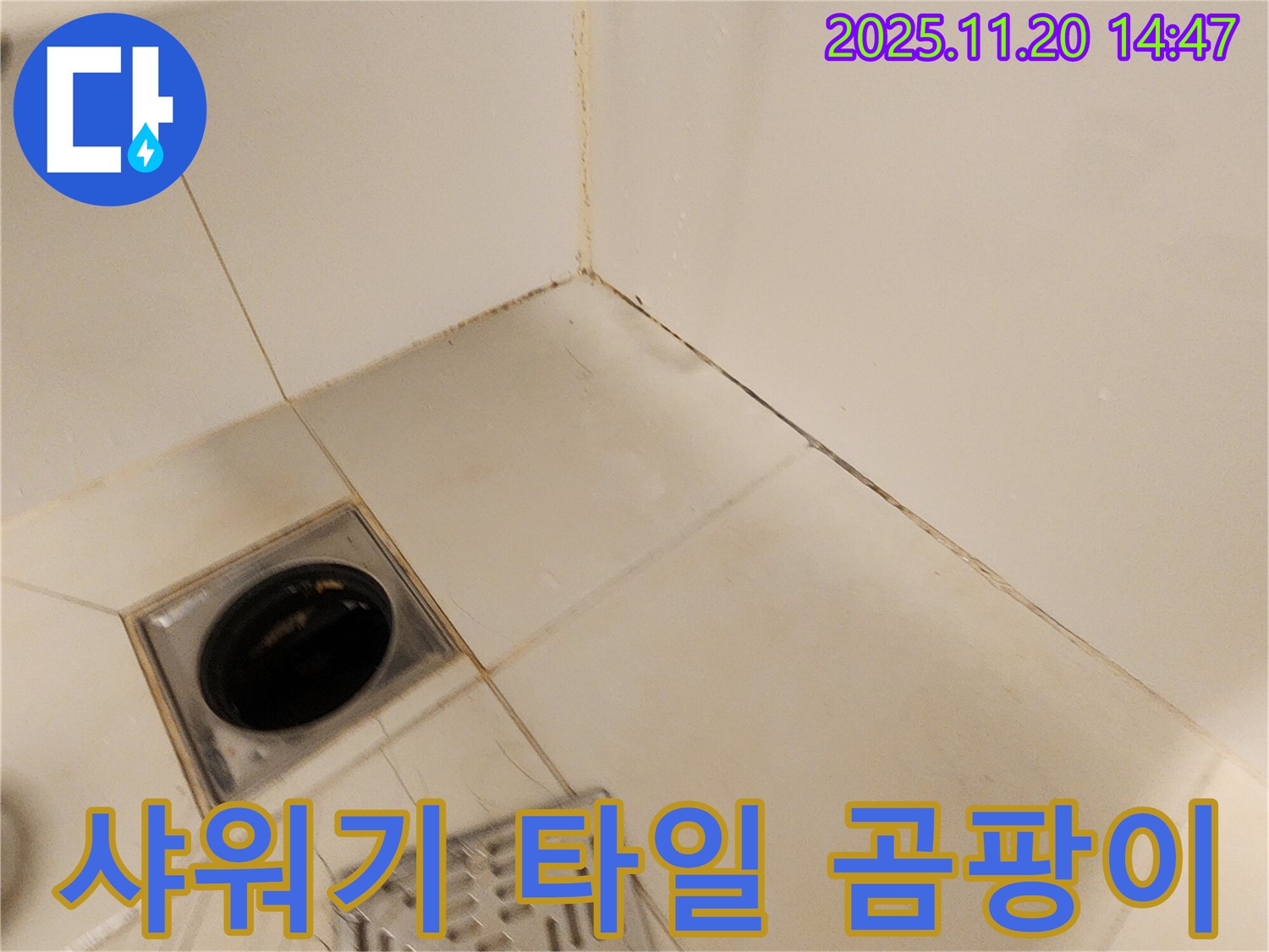 포천 가산 샤워기 - 샤워기 연결 부위에서 누수가 발생하고 주변 타일에 곰팡이가 핀 모습입니다.