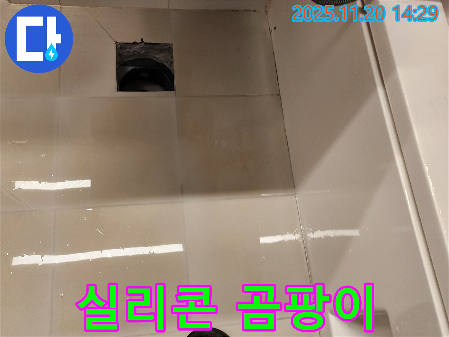 포천 가산 욕실 배수구 누수 - 실리콘 손상 및 곰팡이 발생 상태 점검