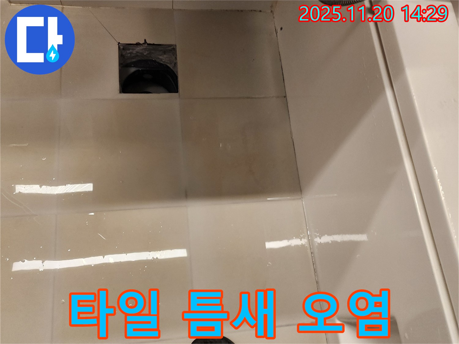 포천 가산 욕실 배수구 누수 - 타일 틈새 오염 및 물고임 상태 점검