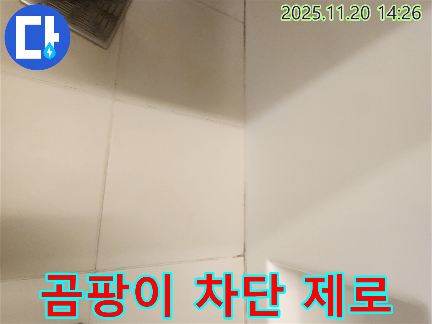 포천 가산면 - 곰팡이 완벽 차단! 재발율 ZERO에 도전합니다!