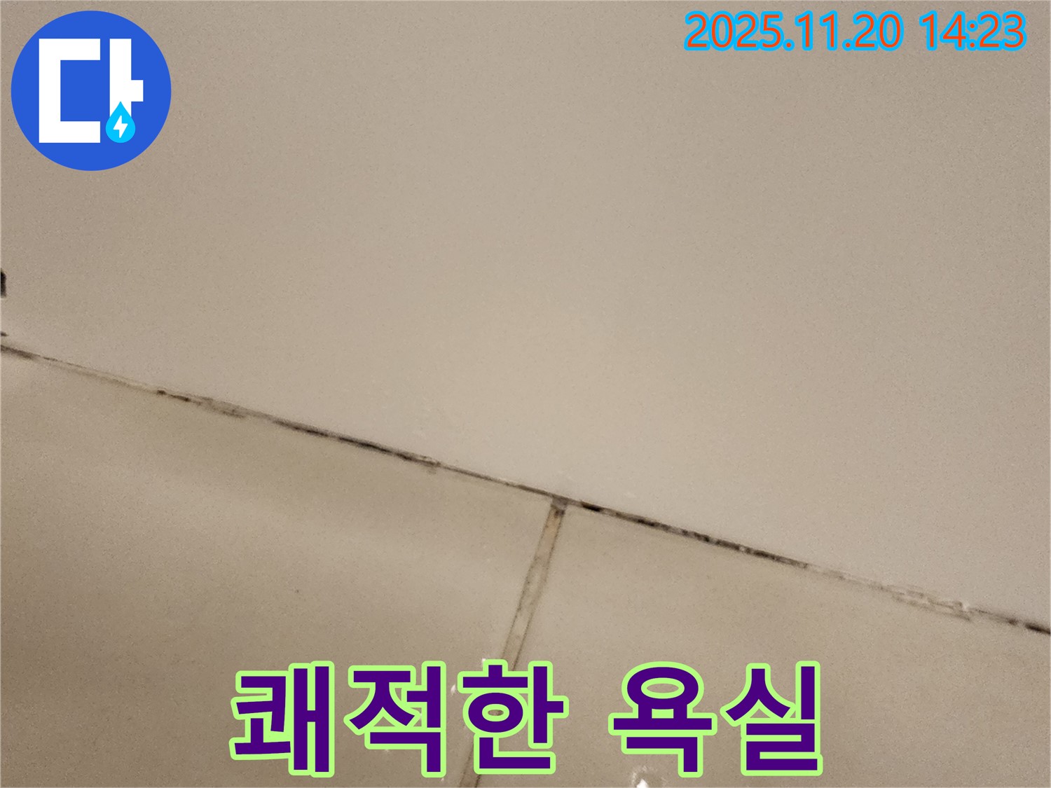 포천 가산면 곰팡이 핀 타일 - 곰팡이 걱정 끝, 쾌적한 욕실!