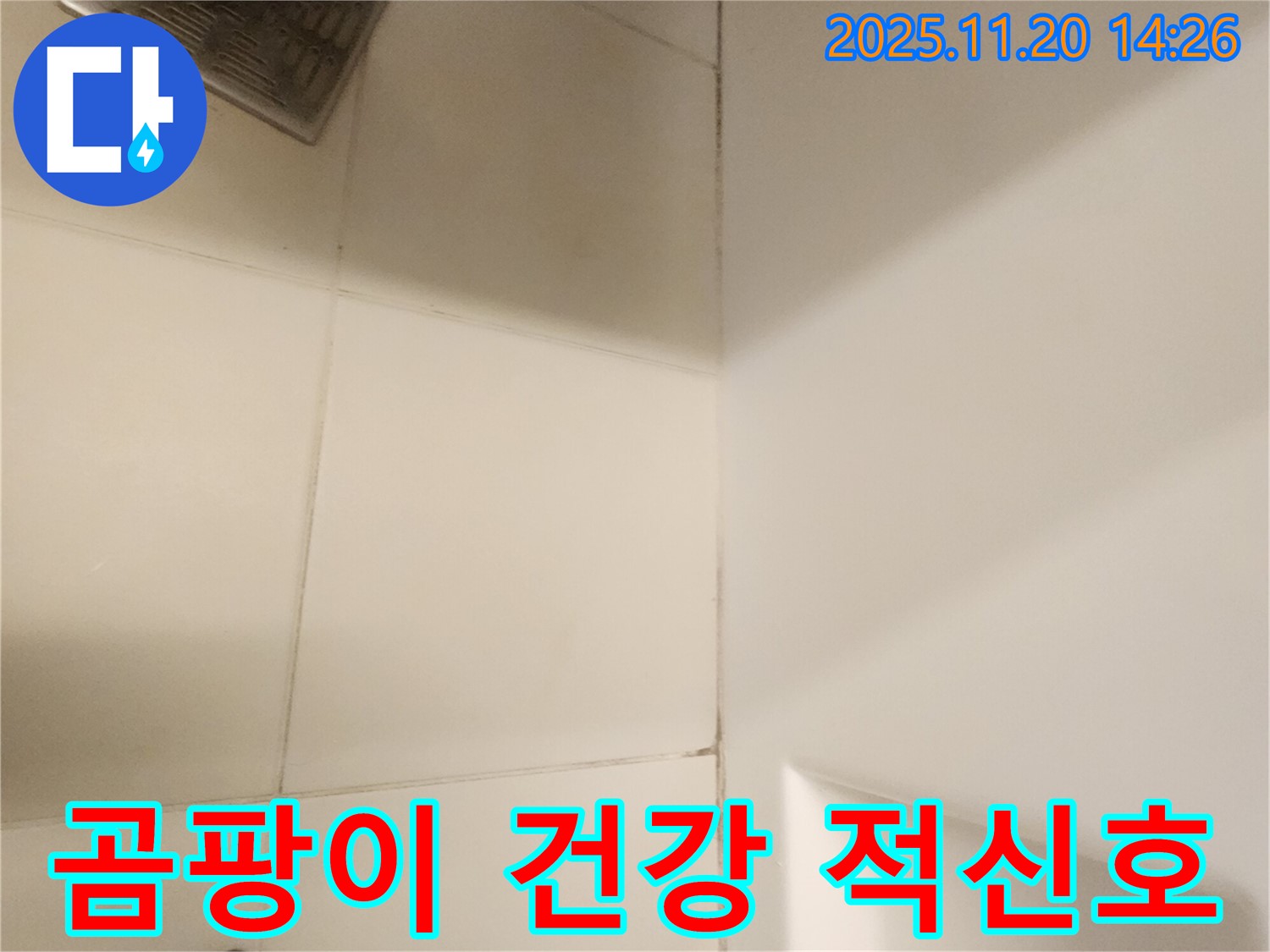 포천 가산면 욕실 - 곰팡이, 가족 건강에 적신호가 켜졌습니다!