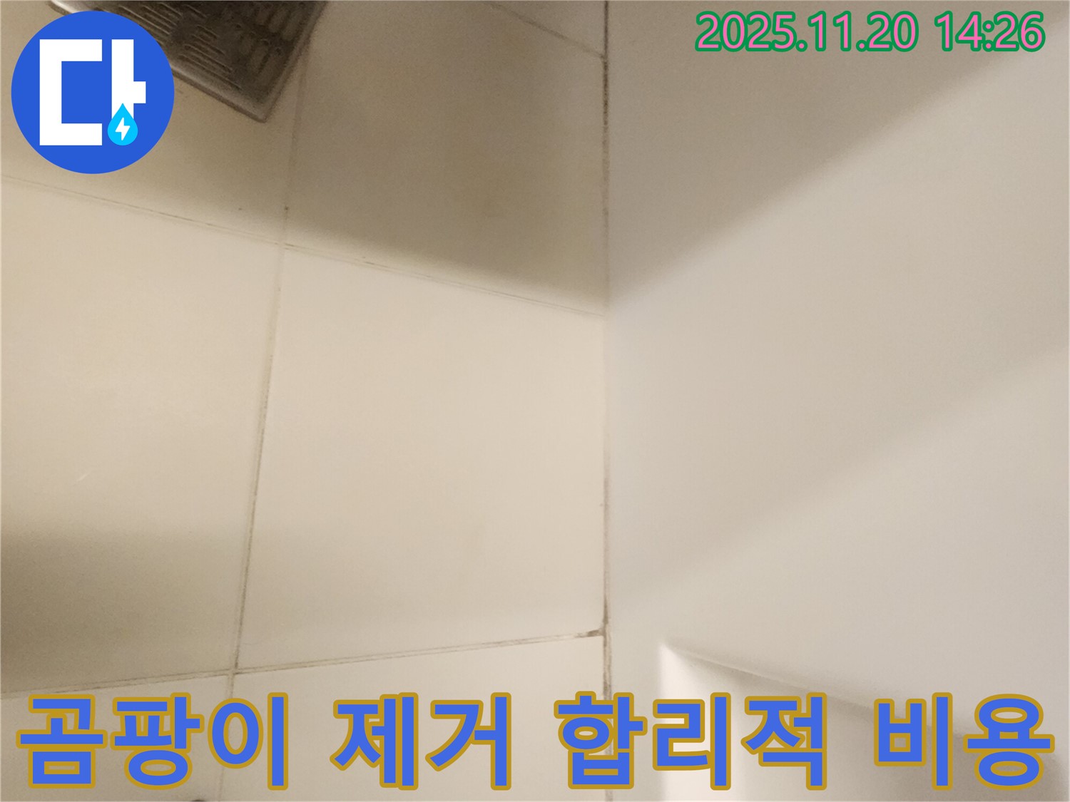 포천 가산면 욕실 - 곰팡이 완벽 제거, 합리적인 비용으로 해결