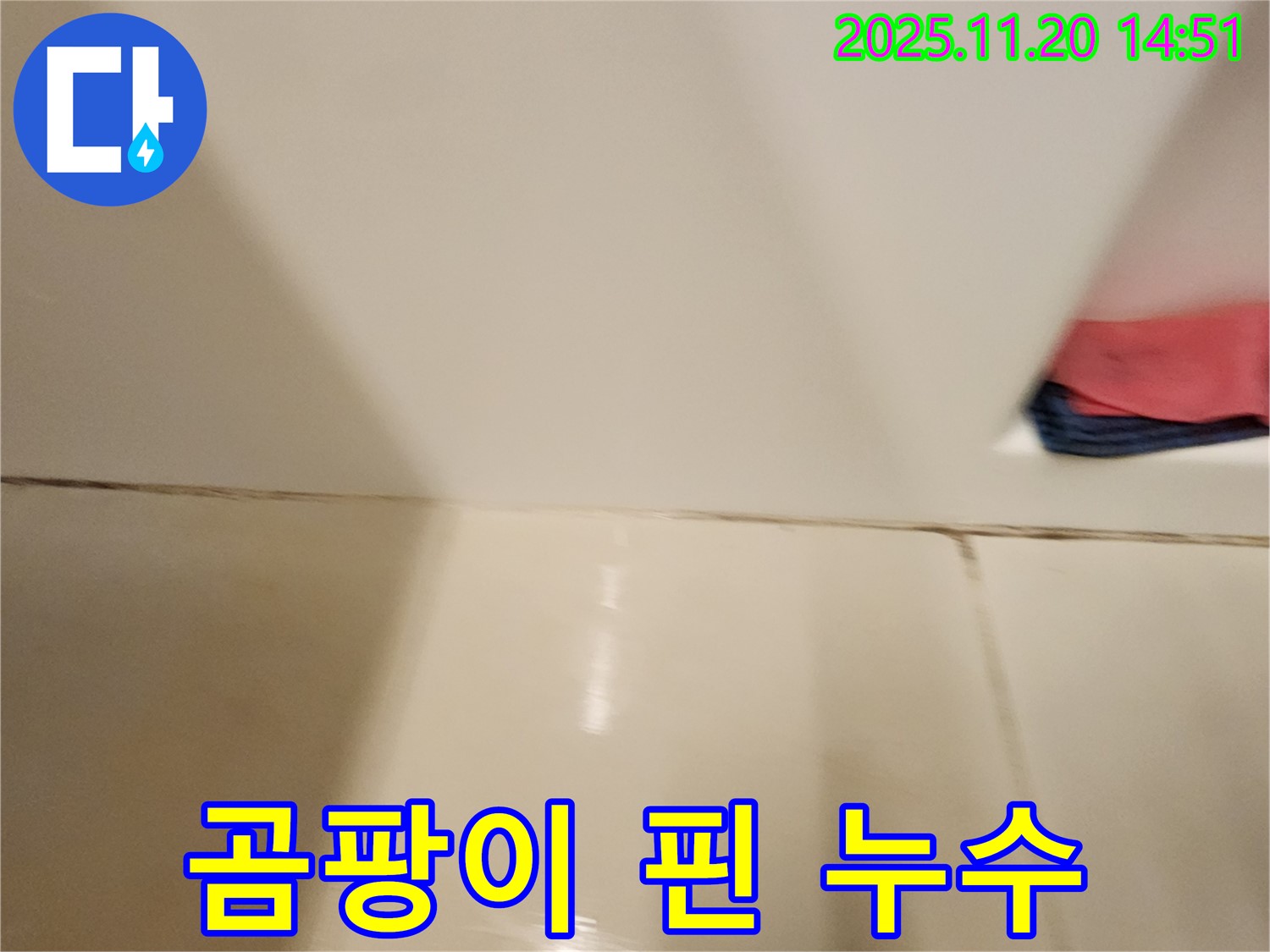 포천 가산면 타일 틈새 곰팡이 누수 - 곰팡이 제거와 누수 해결을 동시에!