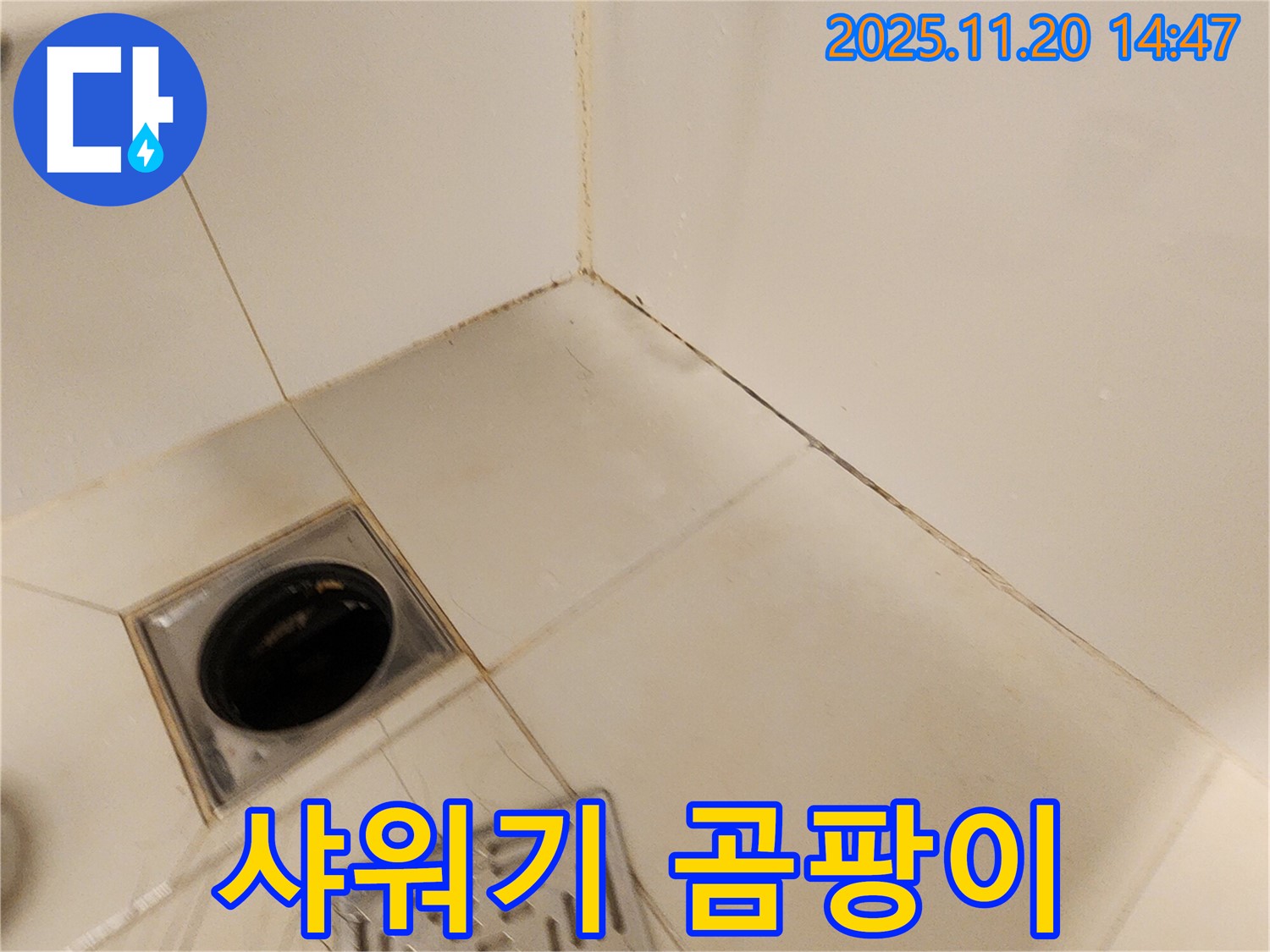 포천 마산리 샤워기 - 샤워기 연결 부위에서 누수가 발생하고 주변에 곰팡이가 핀 모습입니다.