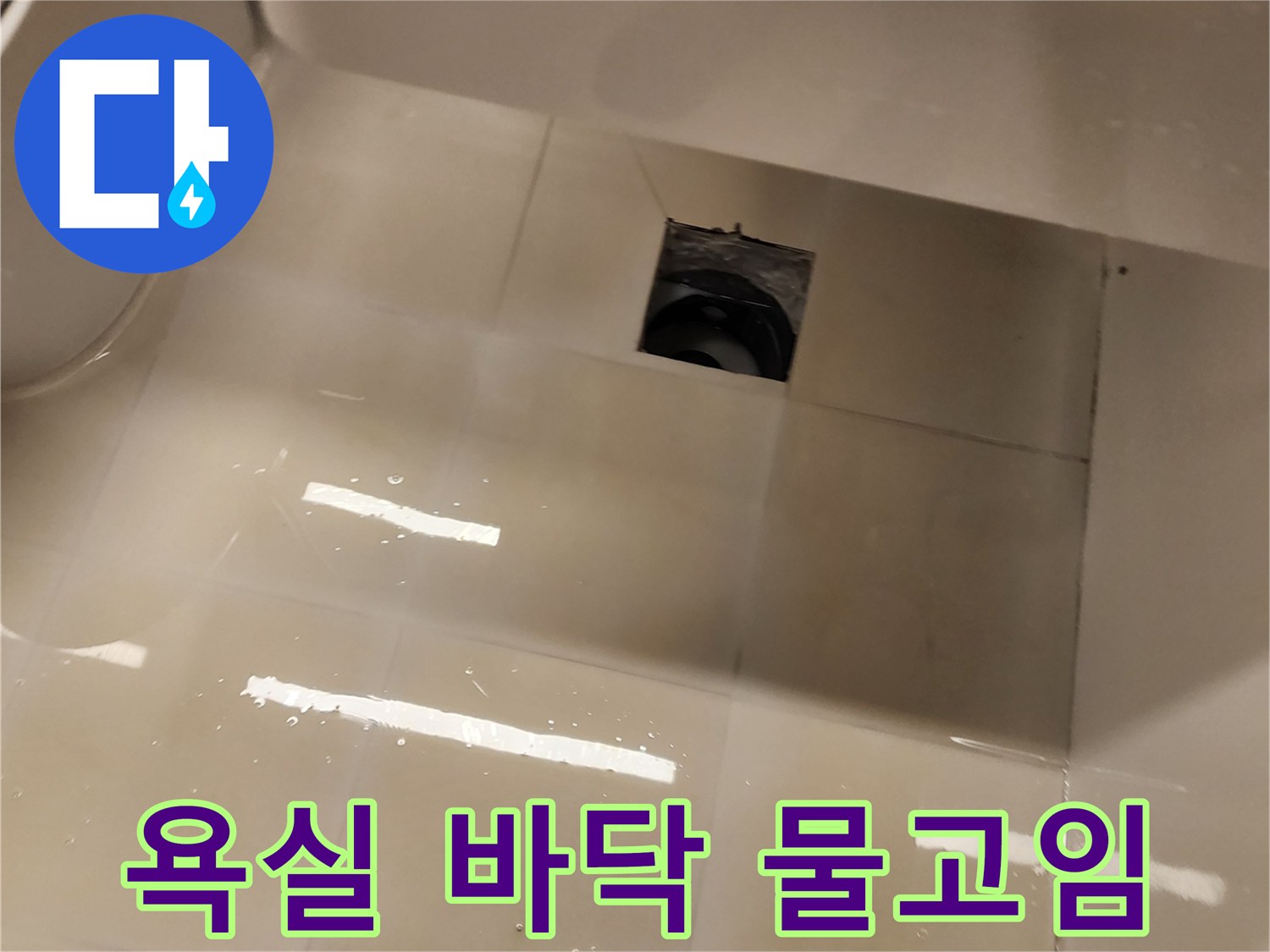화장실 타일-배수구 근처에 고인 물 상태