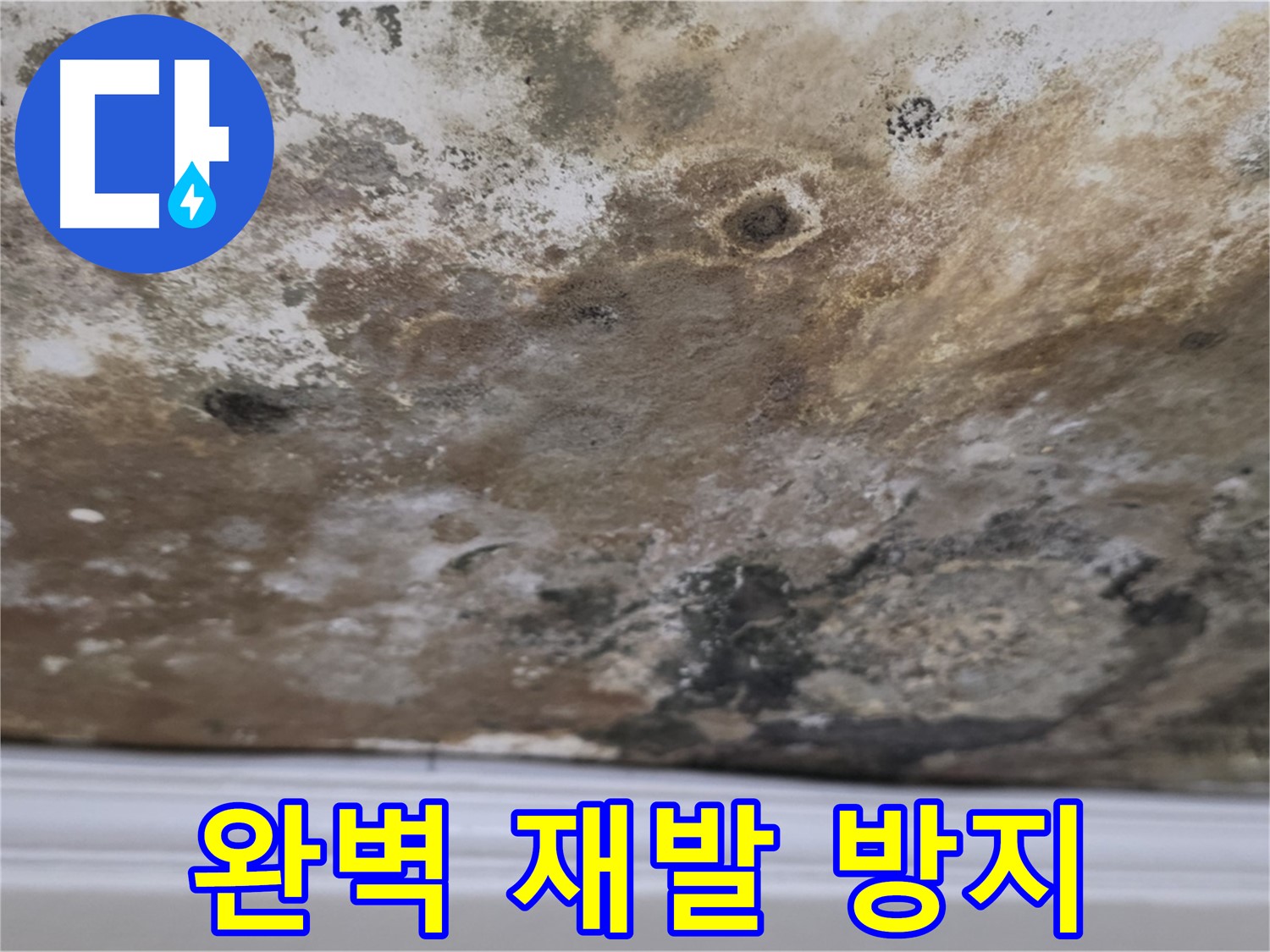 곰팡이 제거 후 완벽한 재발 방지 시공
