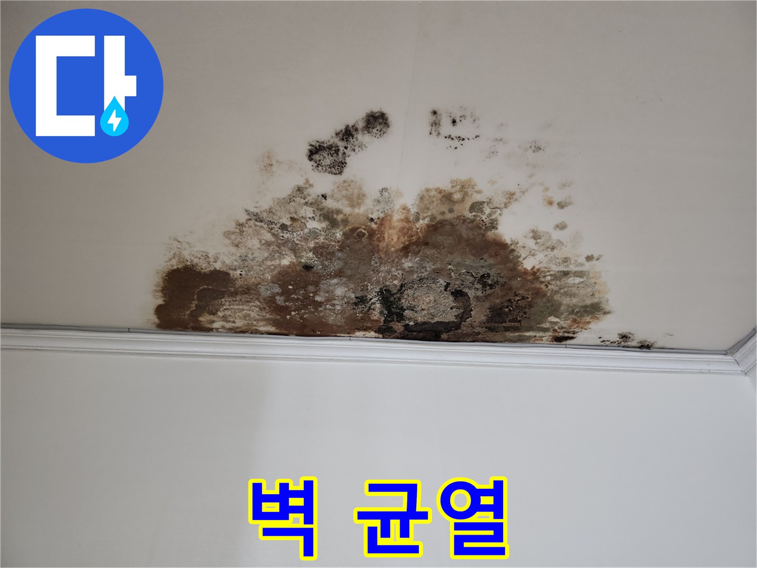 마포 누수 - 벽 균열