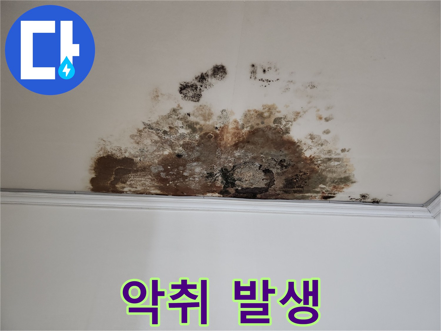 마포구 누수 - 악취 제거