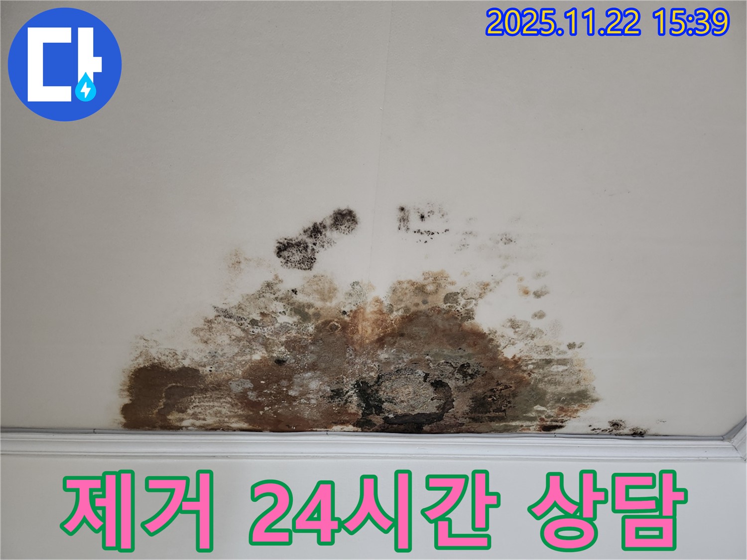 마포구 새창로 아파트 - 곰팡이 천장, 곰팡이 제거, 24시간 상담 가능