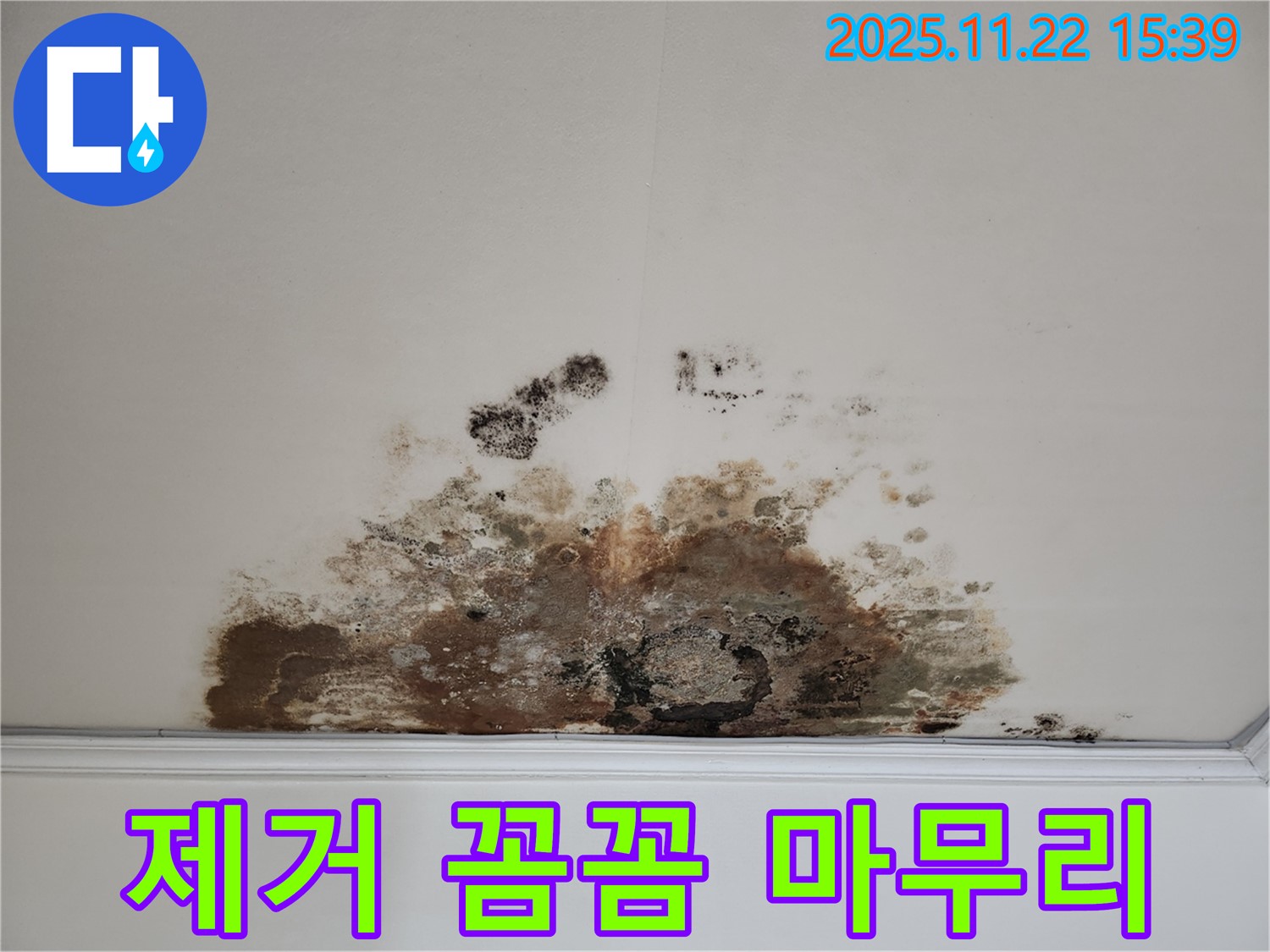 마포구 새창로 아파트 - 곰팡이 천장, 곰팡이 제거, 꼼꼼한 시공과 완벽한 마무리