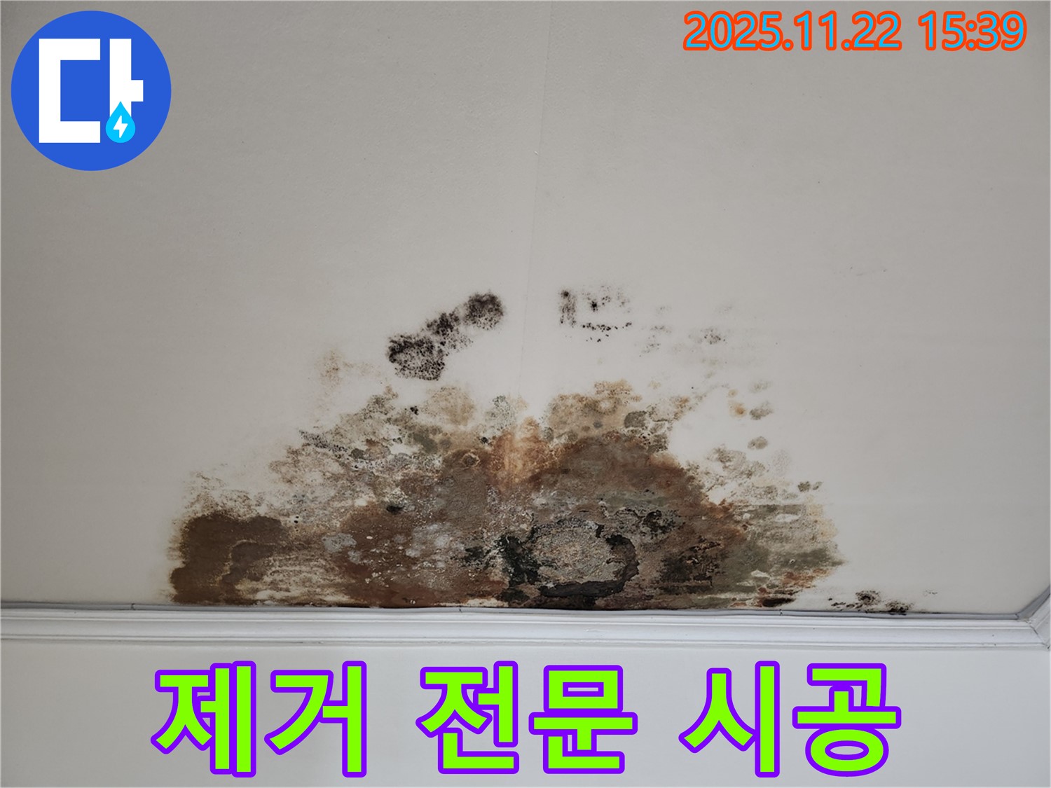 마포구 새창로 아파트 - 곰팡이 천장, 곰팡이 제거 전문 업체의 확실한 시공