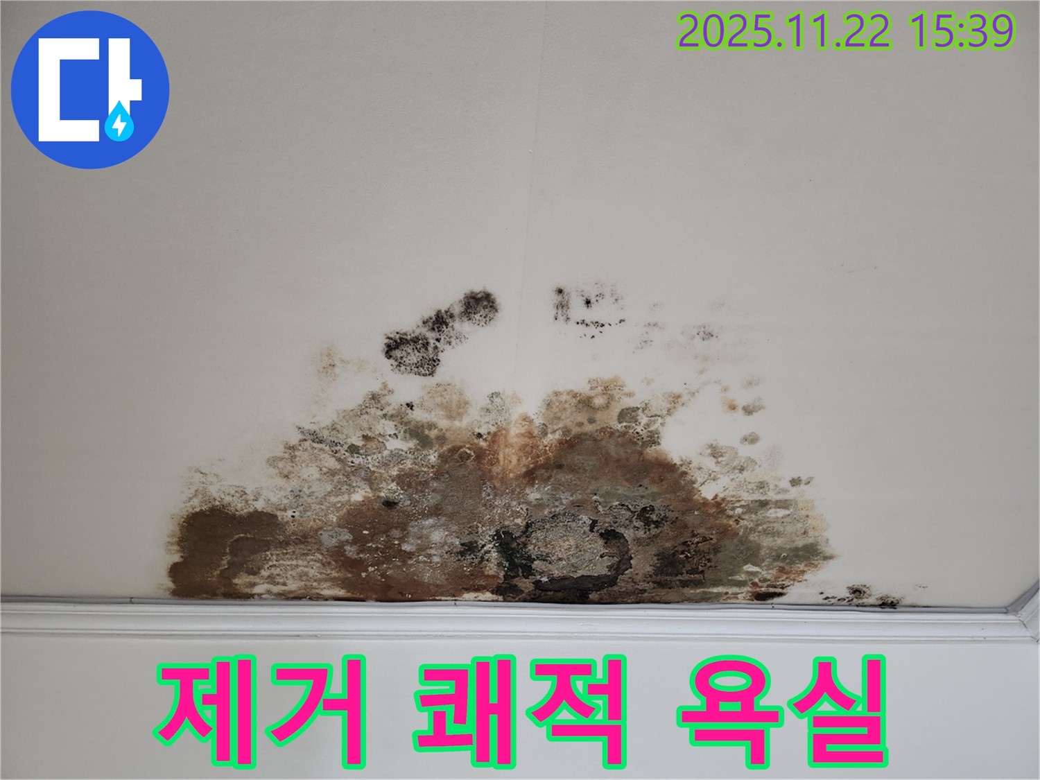마포구 새창로 아파트 - 곰팡이 천장, 곰팡이 제거, 쾌적한 욕실 환경 조성