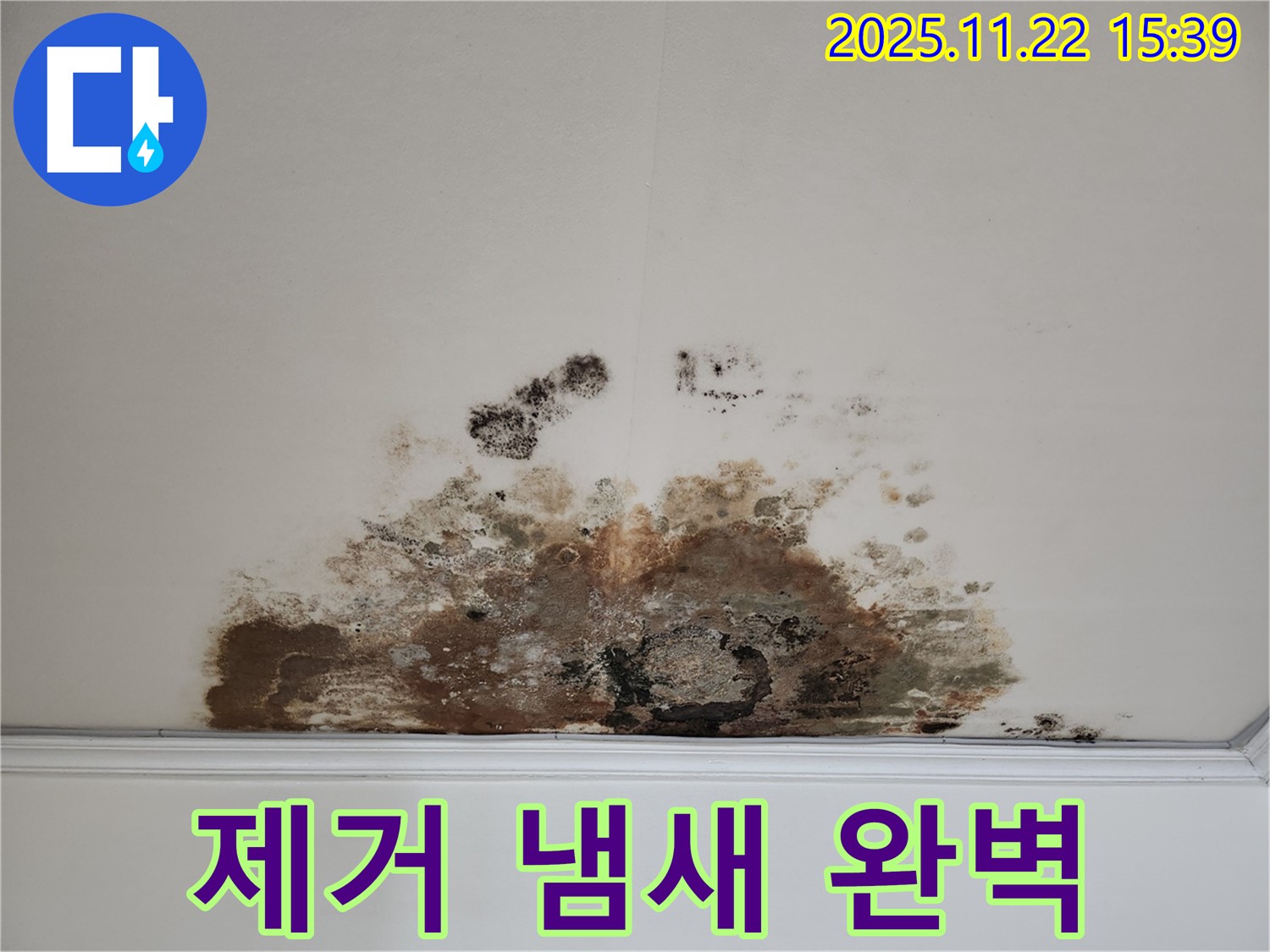 마포구 새창로 아파트 - 곰팡이 천장, 곰팡이 제거로 곰팡이 냄새 완벽 제거