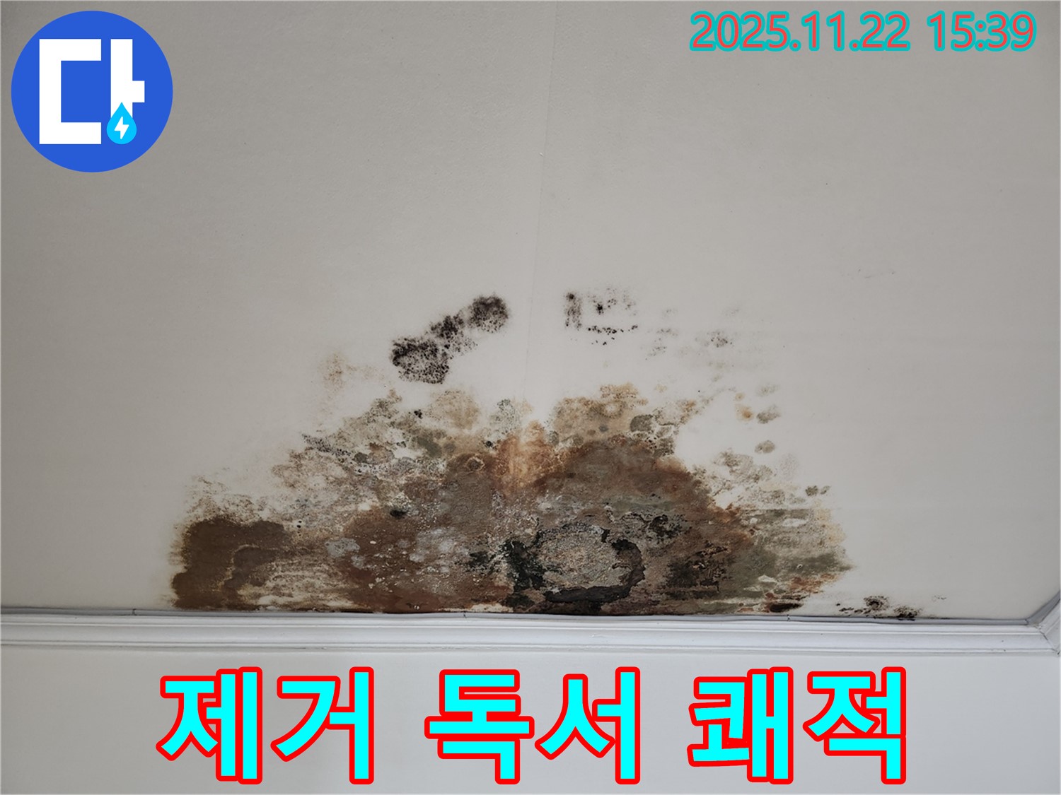 마포구 새창로 아파트 - 곰팡이 천장, 곰팡이 제거로 쾌적한 공간에서 즐거운 독서를