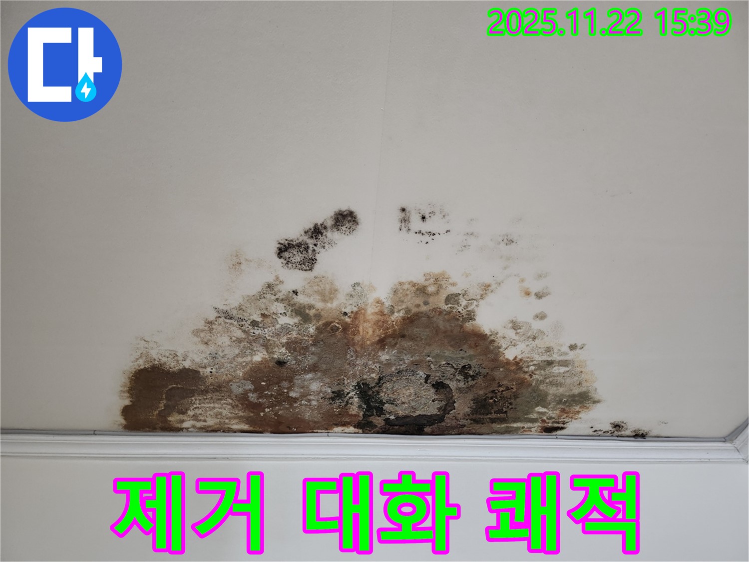 마포구 새창로 아파트 - 곰팡이 천장, 곰팡이 제거로 쾌적한 공간에서 행복한 대화를