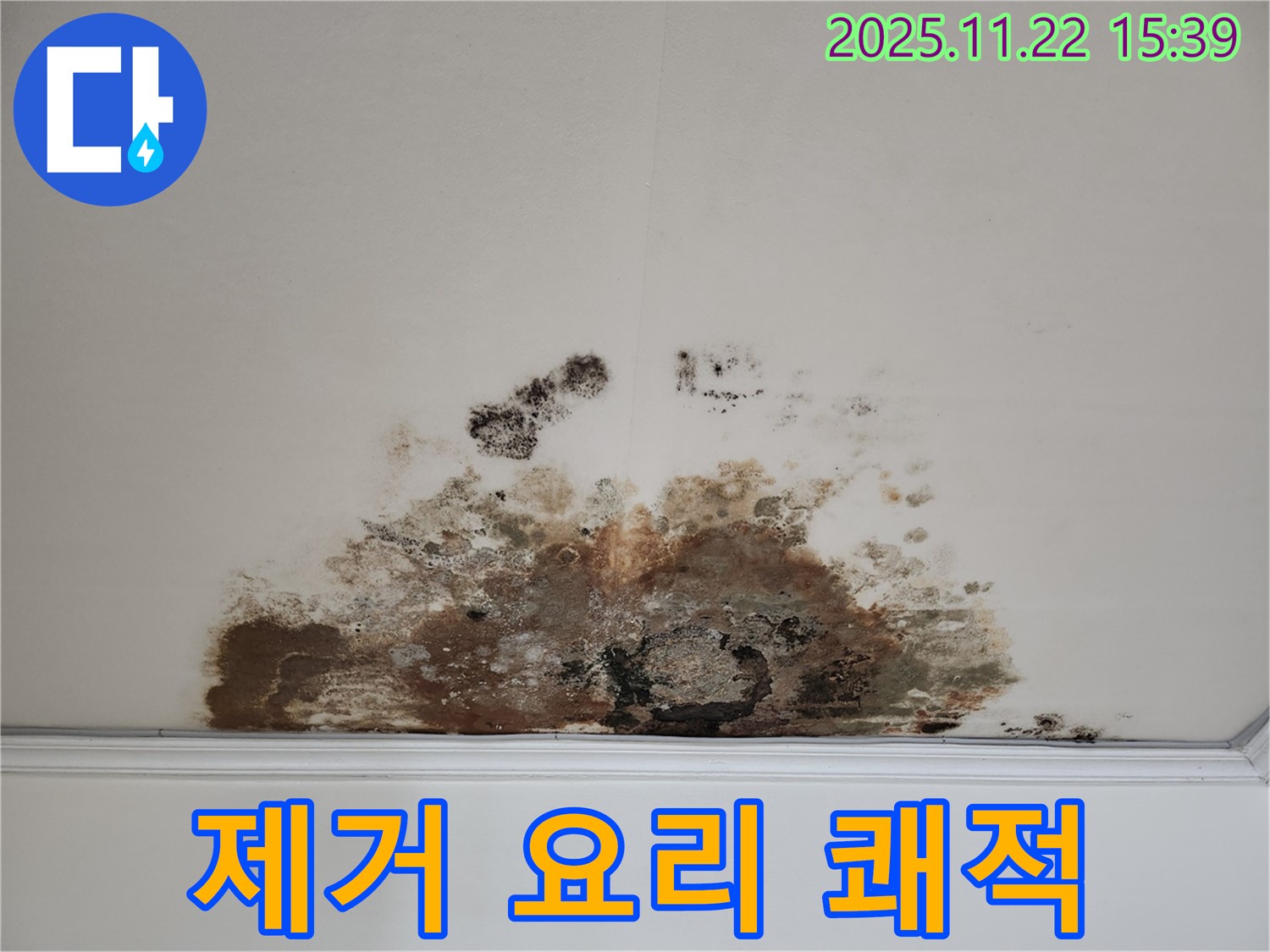 마포구 새창로 아파트 - 곰팡이 천장, 곰팡이 제거로 쾌적한 공간에서 행복한 요리를