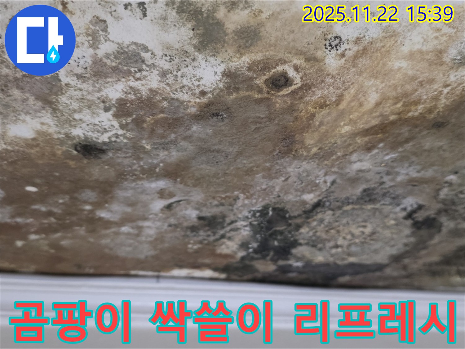 마포구 새창로8길 - 곰팡이 싹쓸이, 쾌적한 공간으로 리프레시!