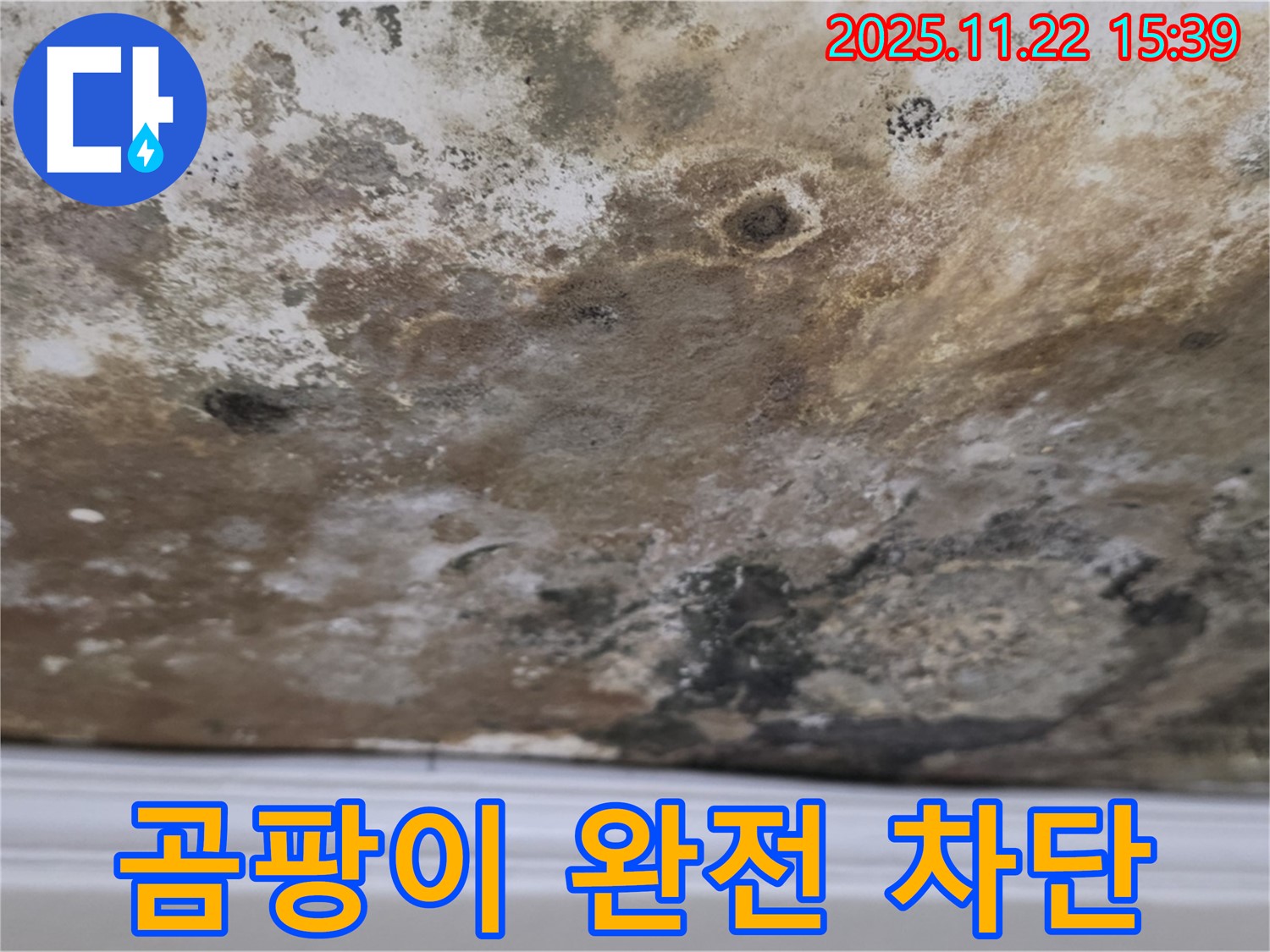 마포구 새창로8길 - 곰팡이 완전 차단, 깨끗하고 쾌적한 천장으로 리뉴얼!