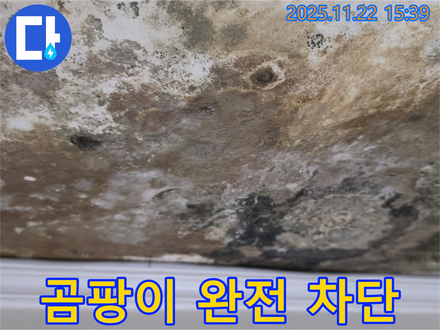 마포구 새창로8길 - 곰팡이 완전 차단, 쾌적한 천장으로 리모델링!
