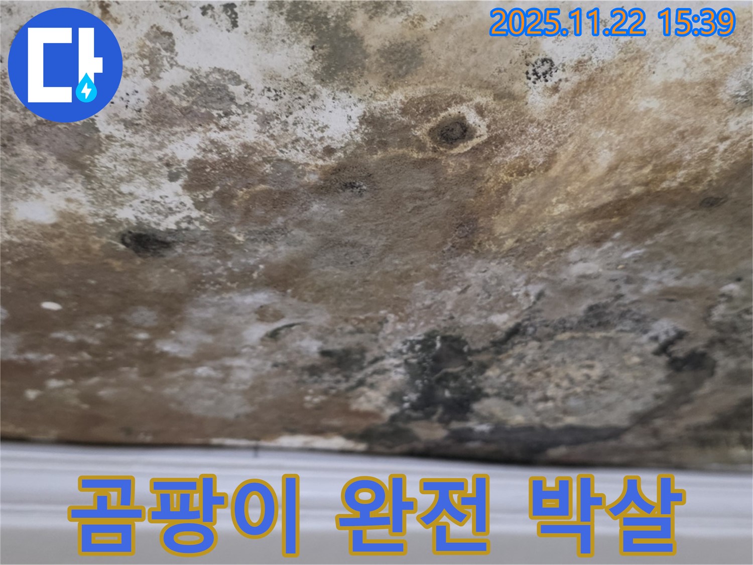 마포구 용강동 누수 - 곰팡이 완전 박살, 상쾌한 천장 컴백!