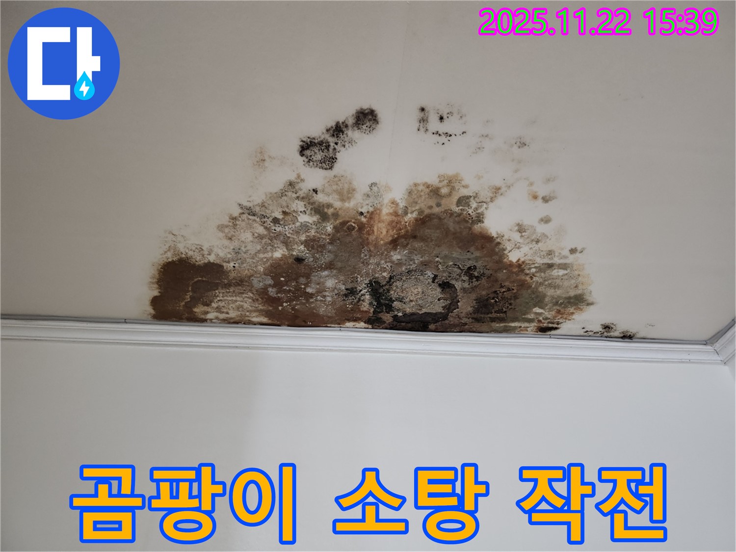 마포구 용강동 새창로8길 누수 - 곰팡이 소탕 작전, 현대홈타운