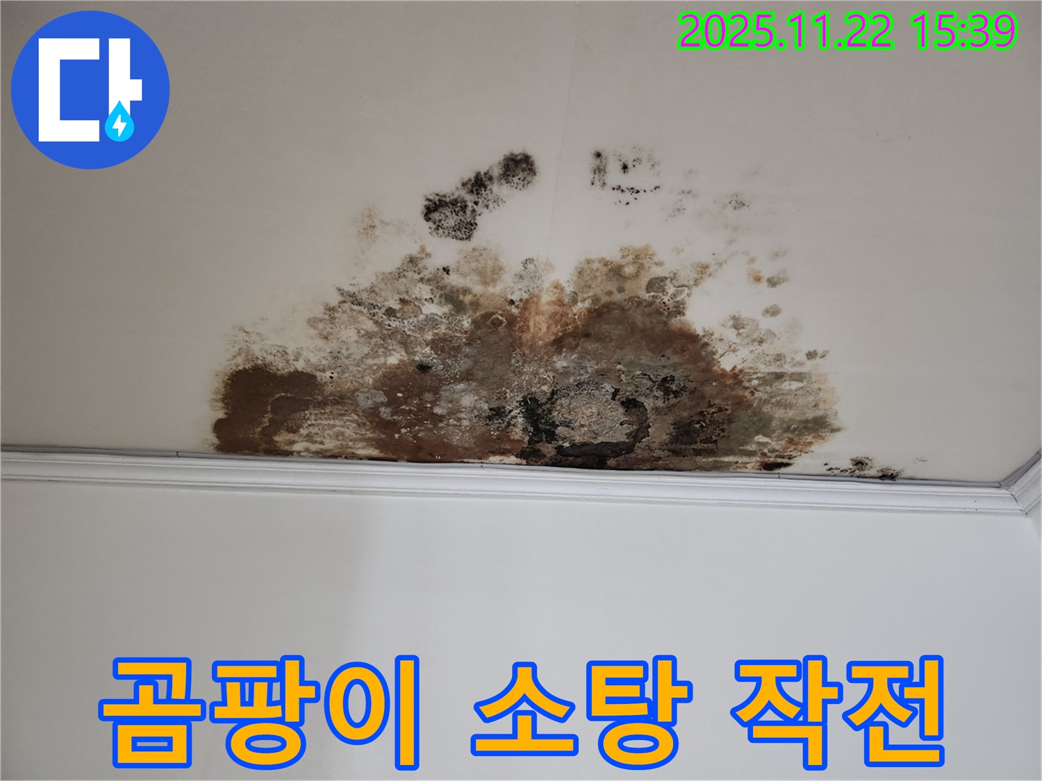 마포구 용강동 새창로8길 누수 - 곰팡이 소탕 작전, 현대홈타운