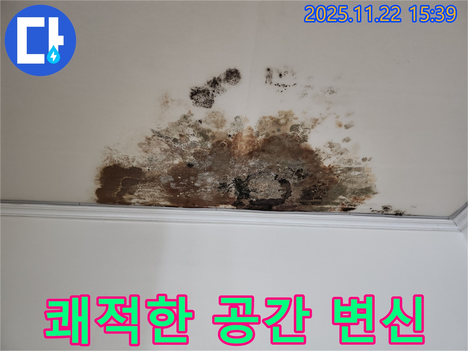 마포구 용강동 새창로8길 누수 - 곰팡이 차단, 현대홈타운 쾌적한 공간