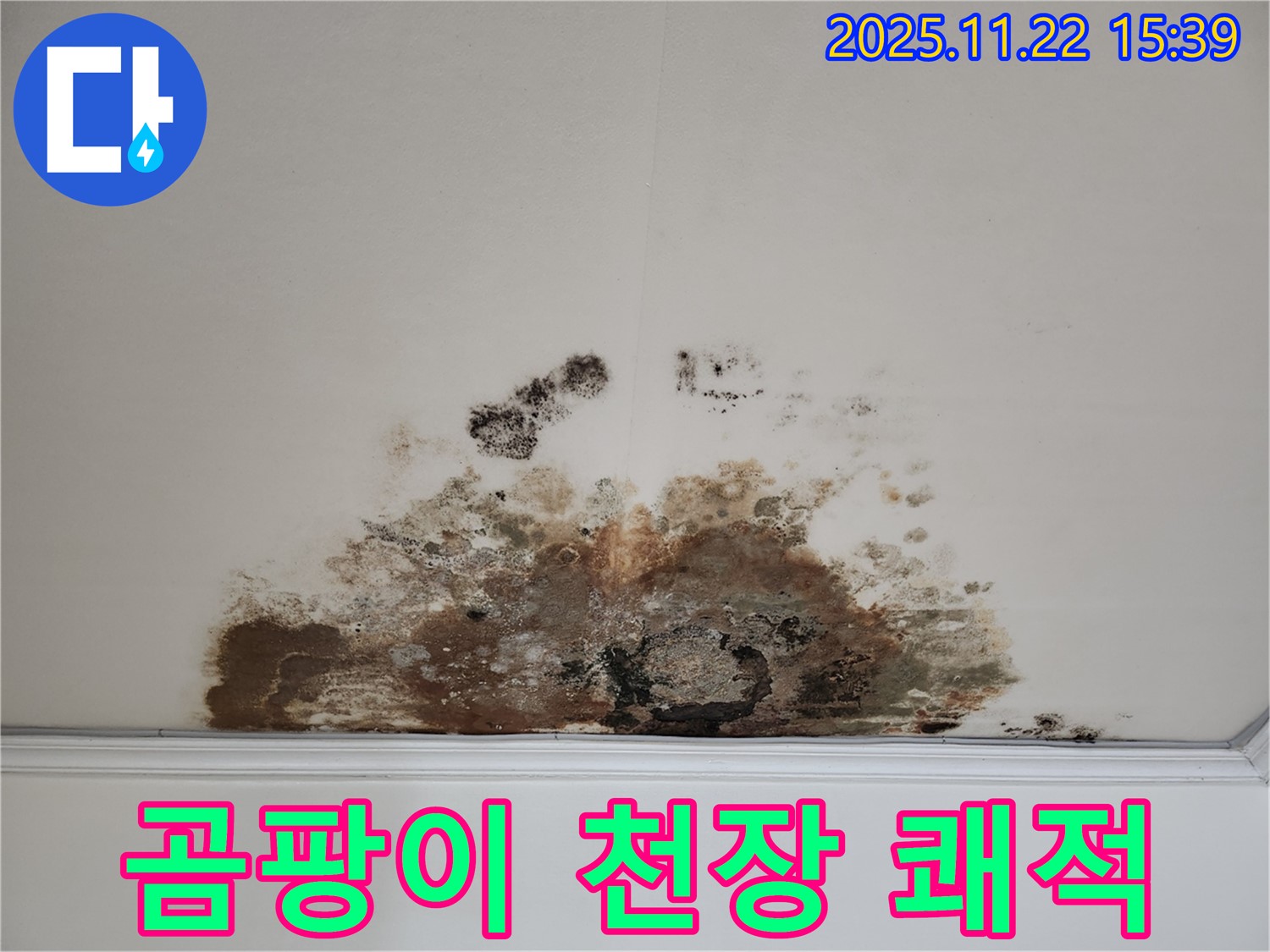 마포구 용강동 아파트 - 곰팡이 천장, 건강과 쾌적함을 동시에
