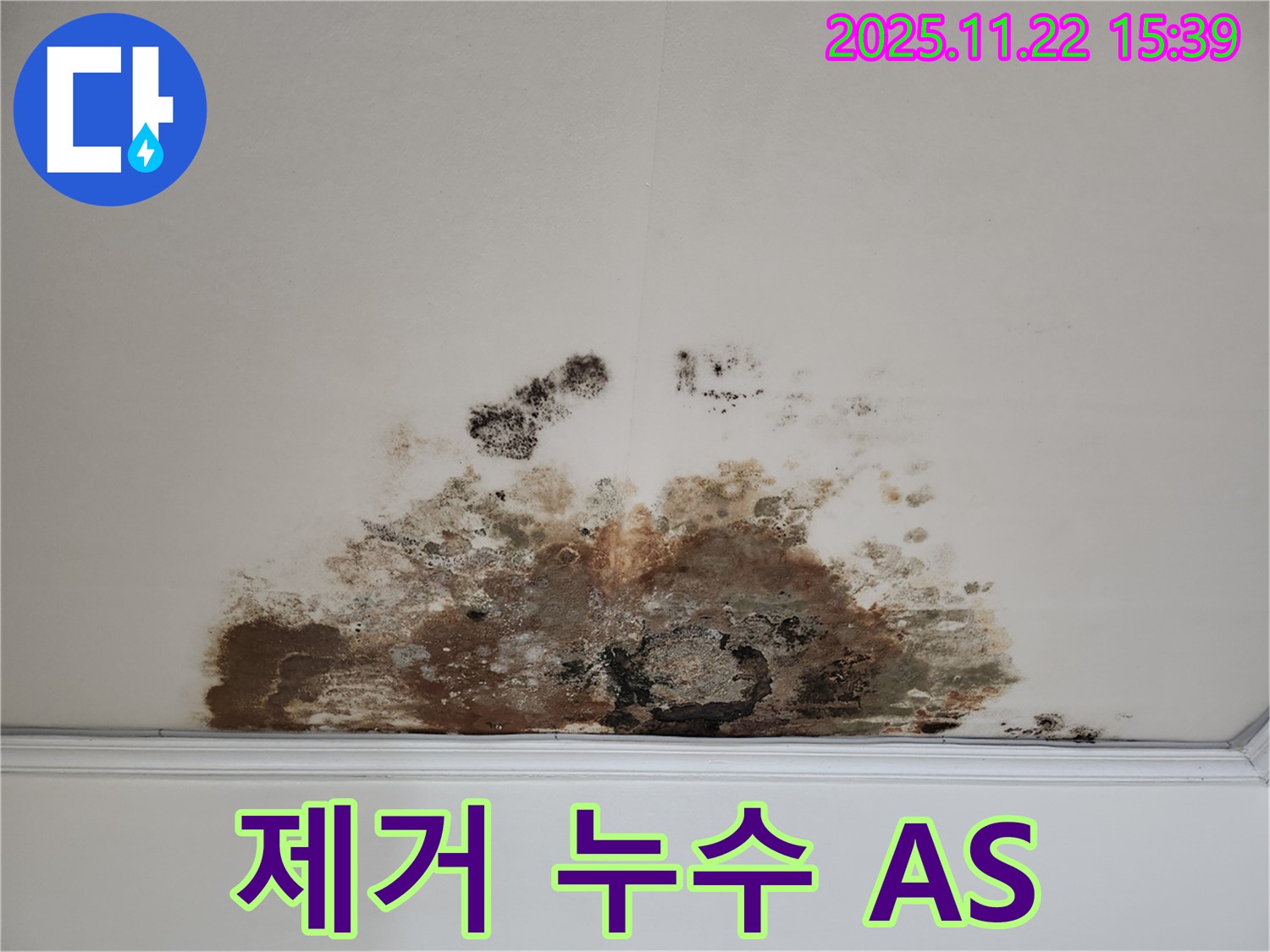 마포구 용강동 아파트 - 곰팡이 천장, 곰팡이 제거, 누수 문제 완벽 해결, A/S 보장