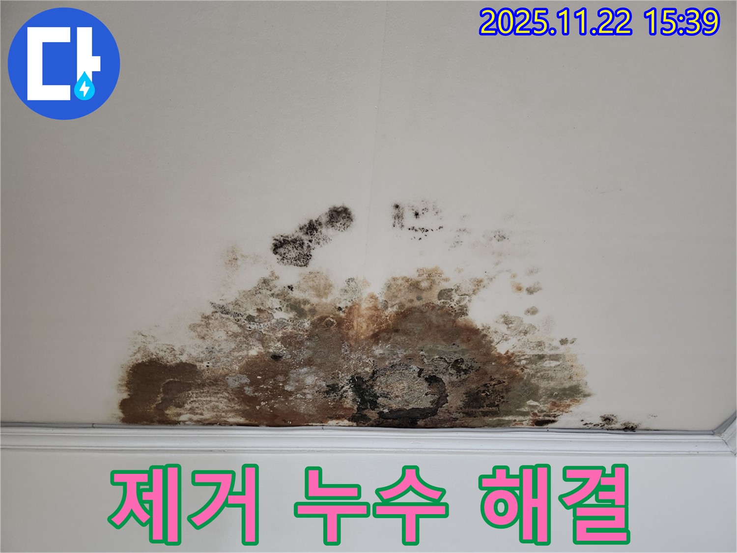 마포구 용강동 아파트 - 곰팡이 천장, 곰팡이 제거, 누수 문제 완벽 해결
